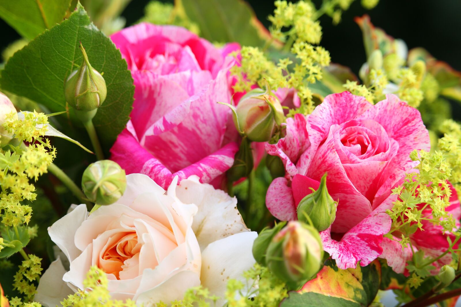 Canon EF-S 55-250mm F4-5.6 IS STM sample photo. Bouquet, summer bouquet, summer photography