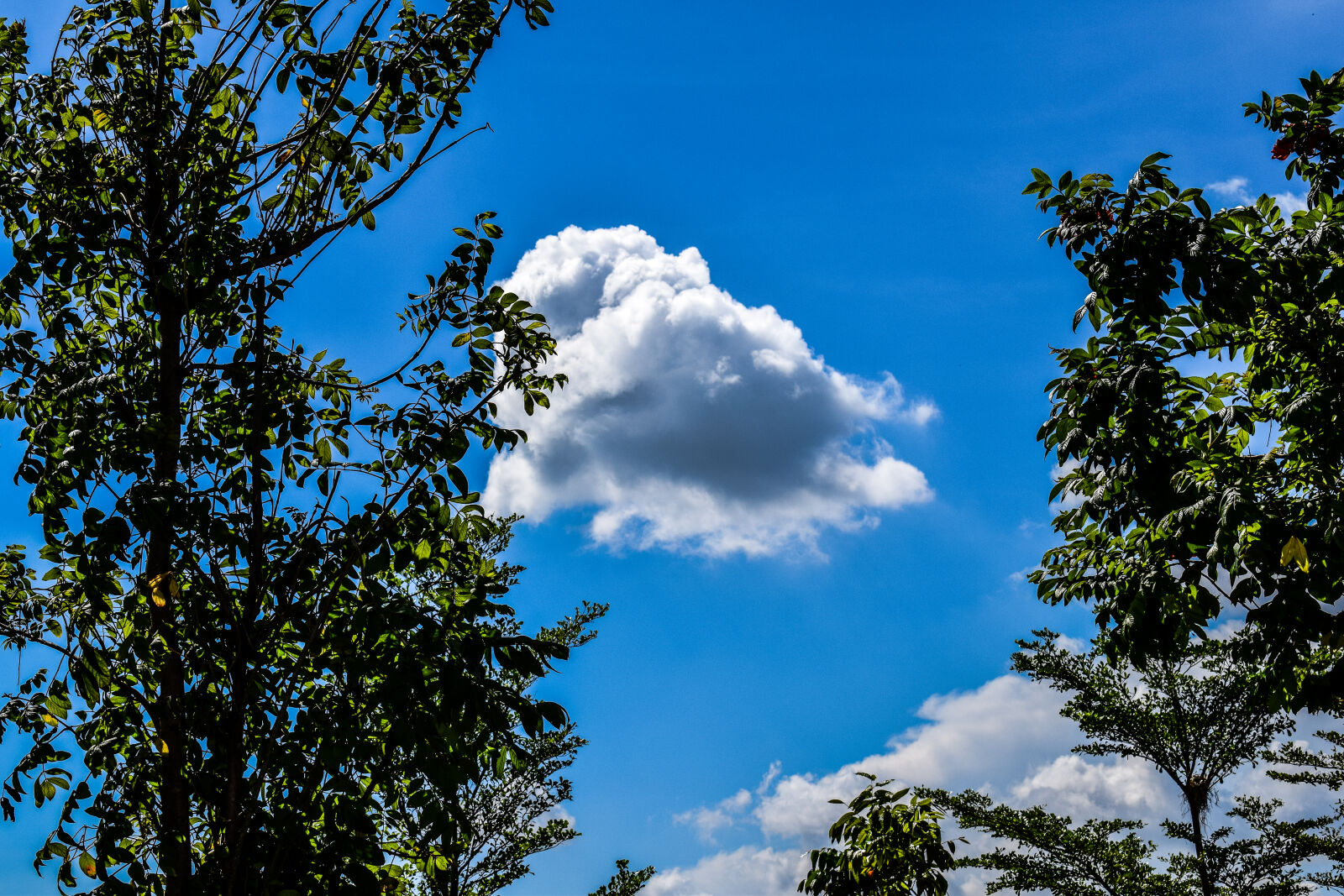 Nikon D3300 sample photo