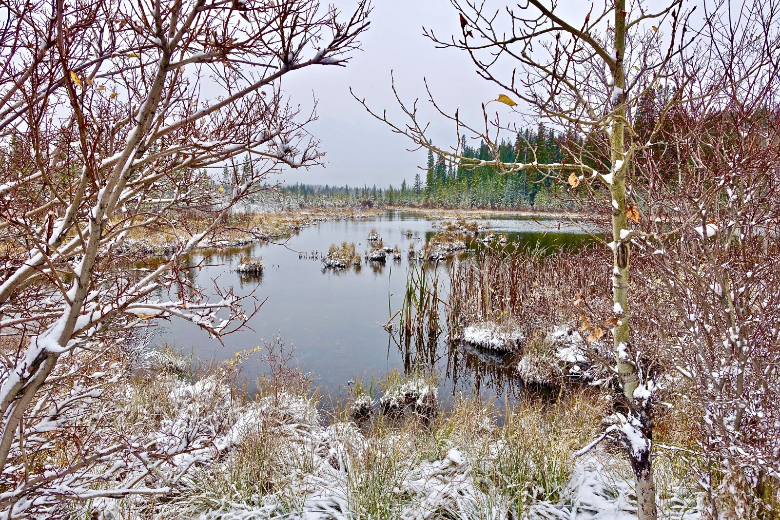 Sony Cyber-shot DSC-RX100 III sample photo. Lake, cold, snow photography