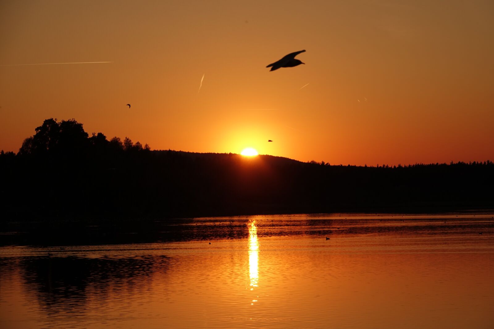 Sony Cyber-shot DSC-RX10 III sample photo. Upper lake, upper palatinate photography