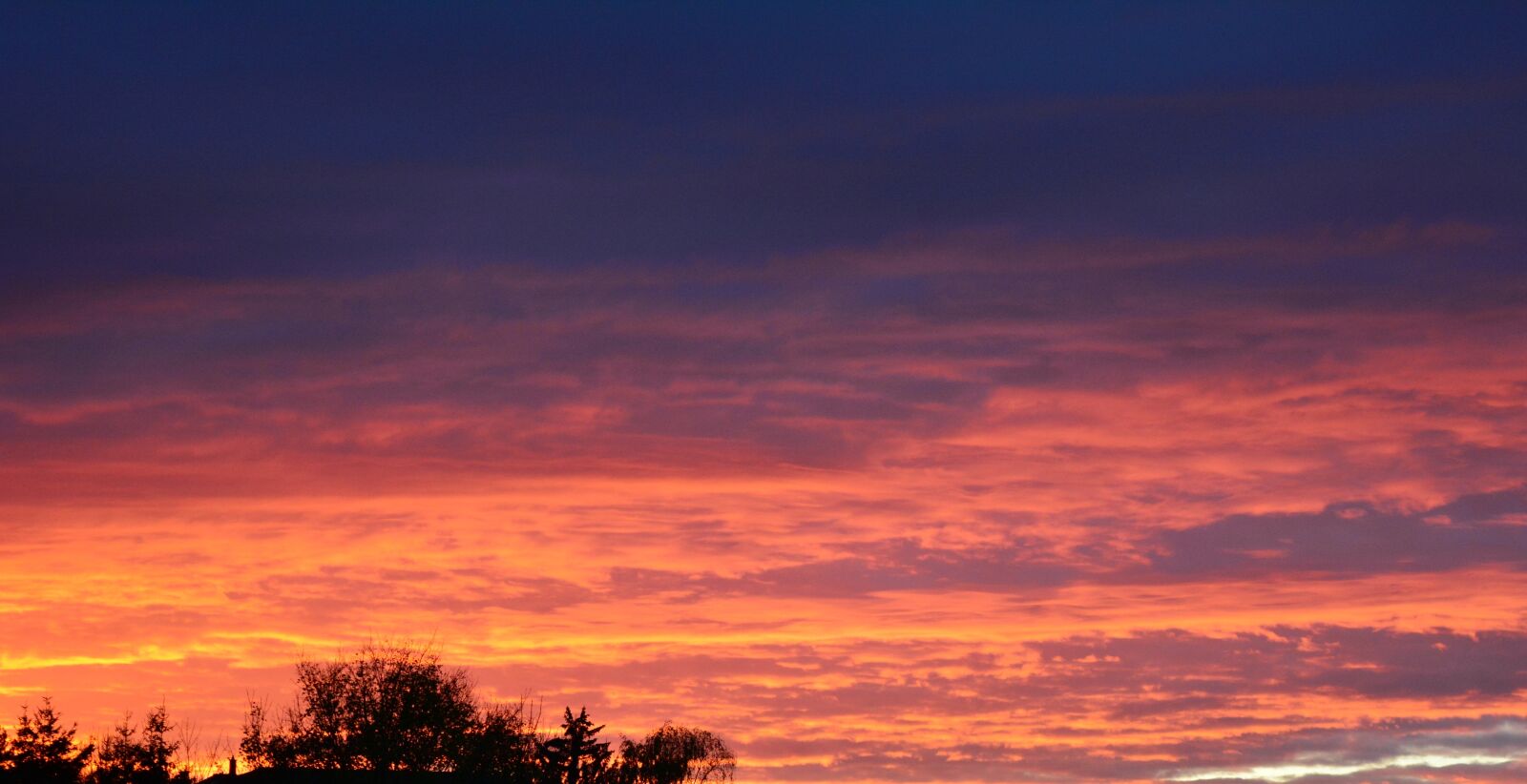 Nikon D5200 sample photo. Sunset, autumn, mood photography