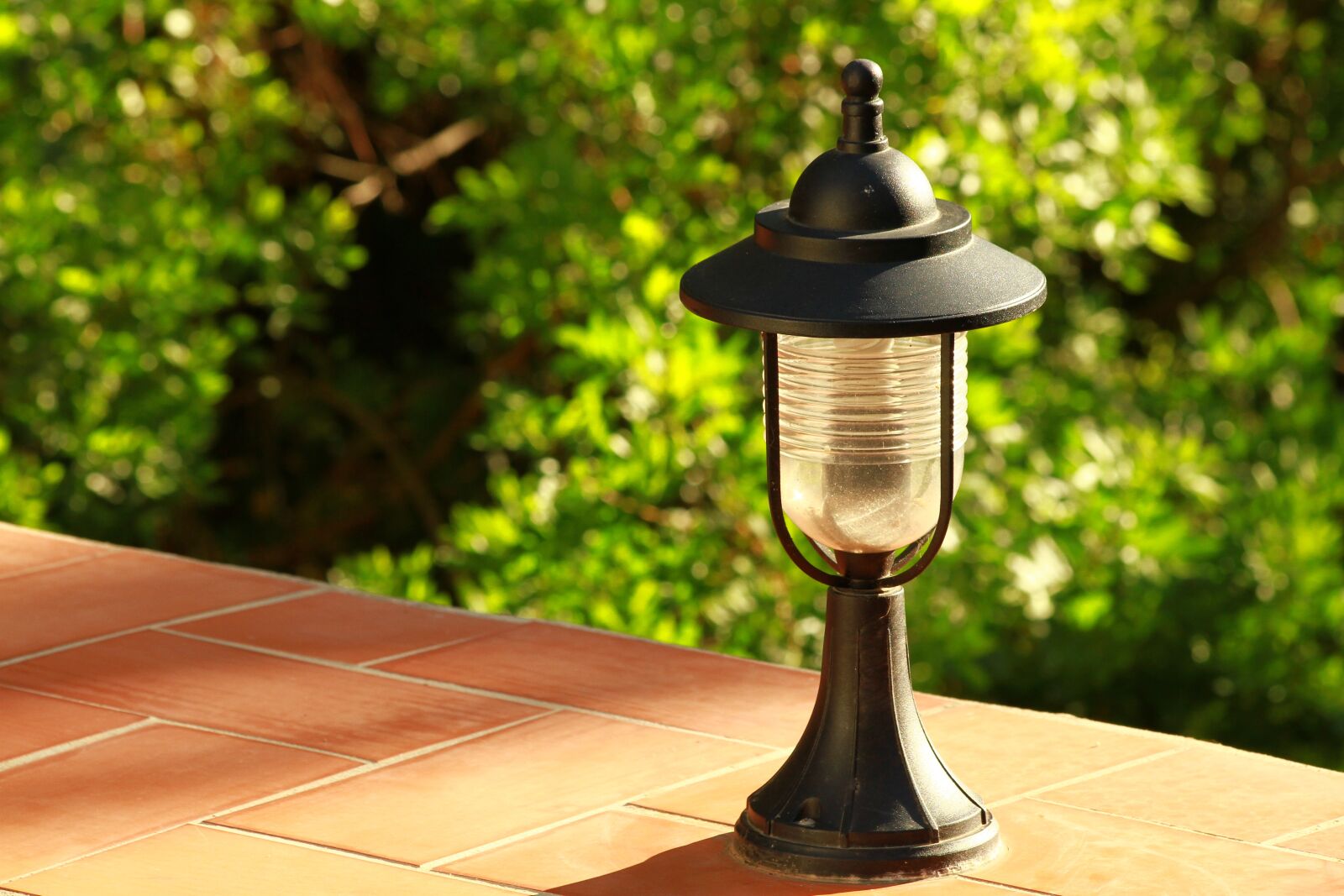 Canon EOS 7D + Canon EF 70-300mm F4-5.6 IS USM sample photo. Lantern, garden, leaves photography