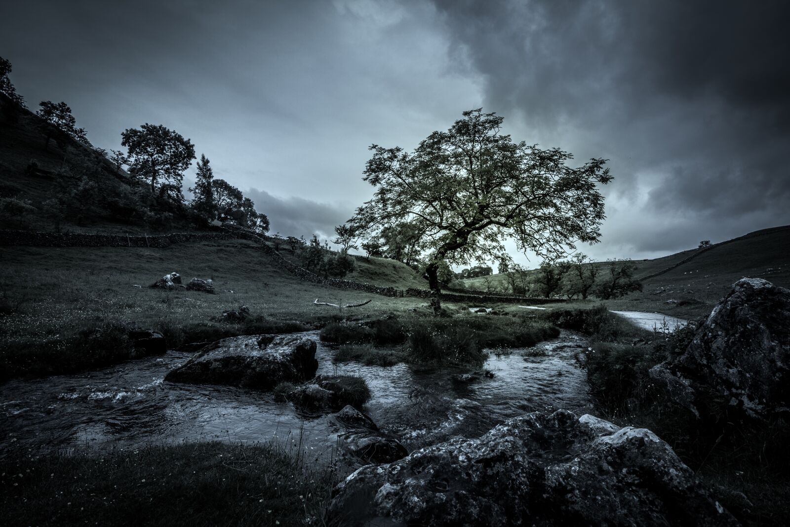 Tokina AT-X Pro 11-16mm F2.8 DX II sample photo. Tree, stream, mood photography