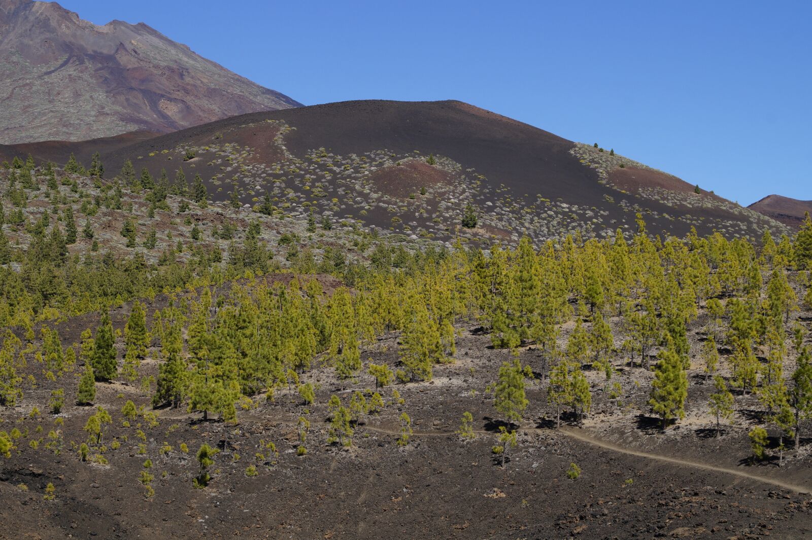 Sony SLT-A58 sample photo. Teide national park, national photography