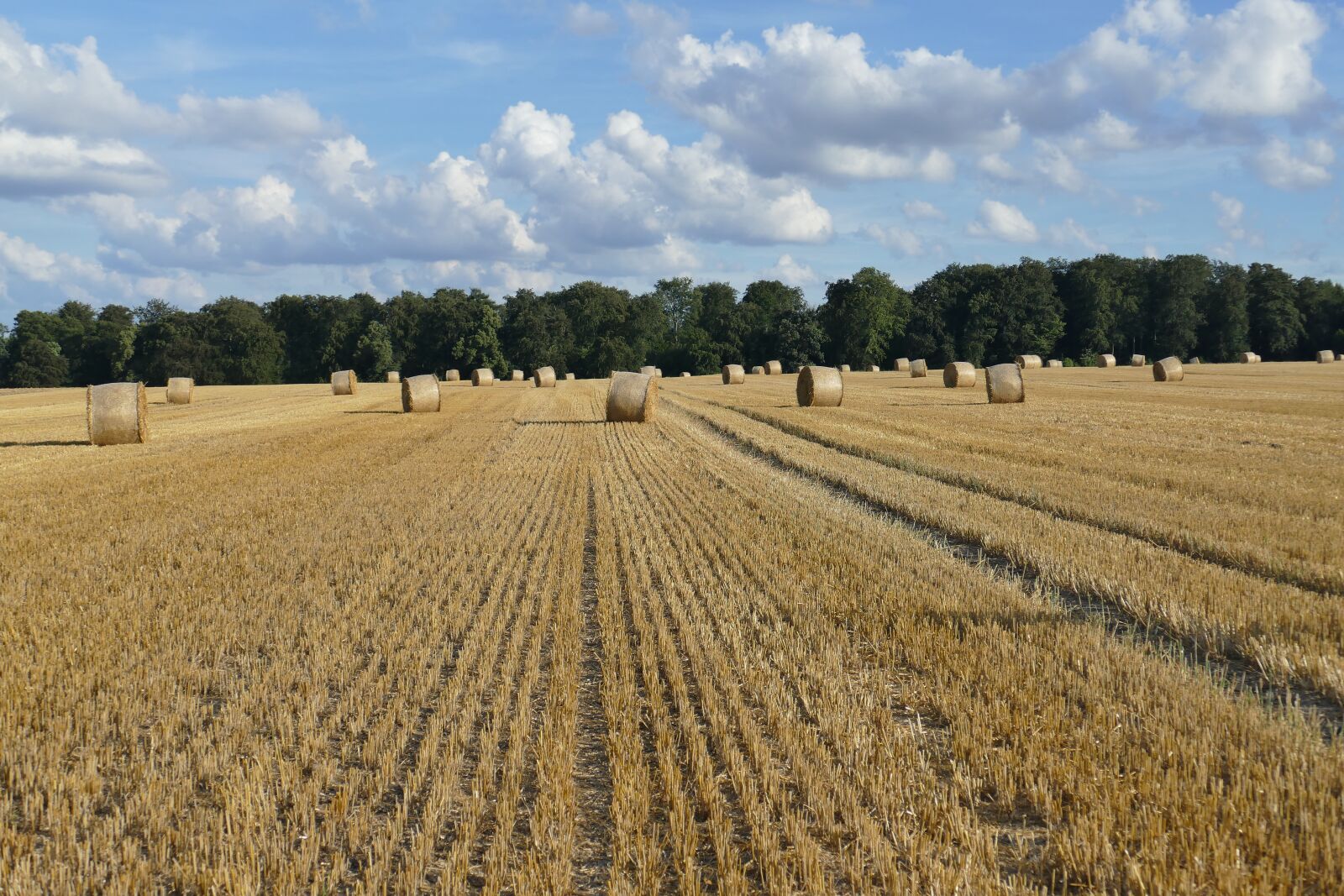 Panasonic Lumix DMC-FZ1000 sample photo. Nature, hay bales, arable photography