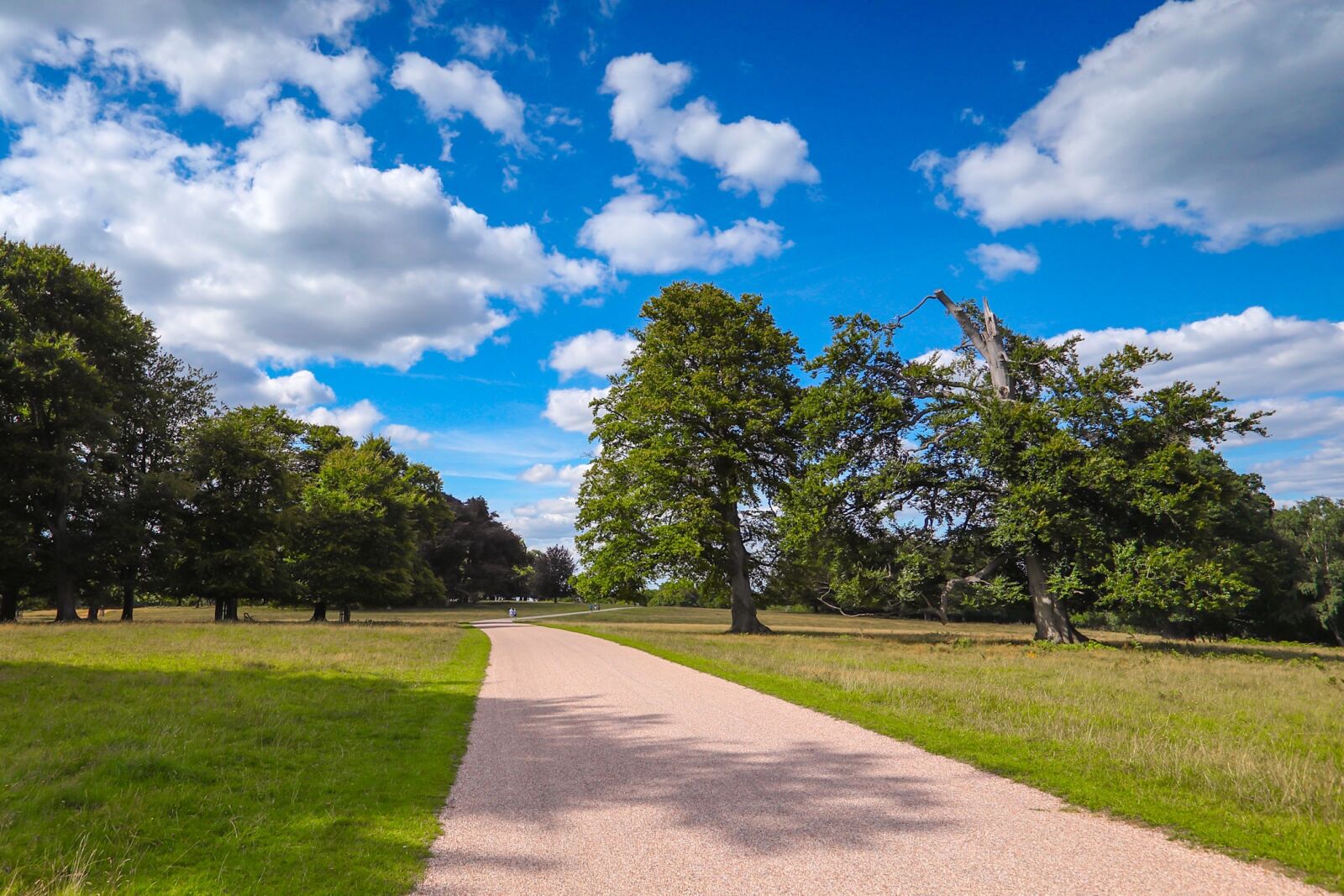 Canon EF 16-35mm F2.8L II USM sample photo. Windsor gardens, park, nature photography