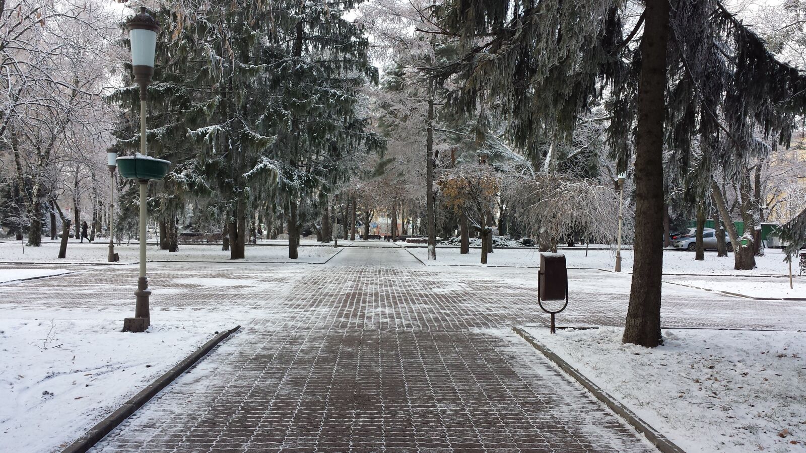 Samsung Galaxy S4 sample photo. Winter, stavropol, spruce photography