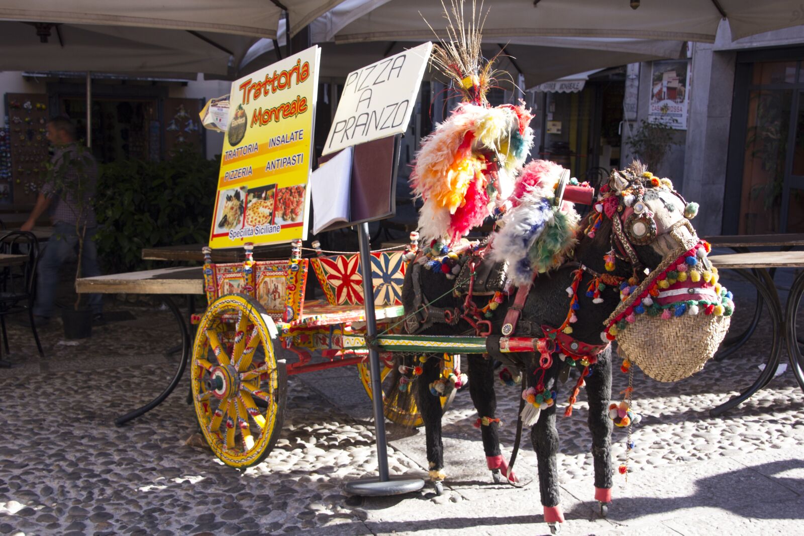 Canon EOS 60D sample photo. Sicily, donkey, note photography