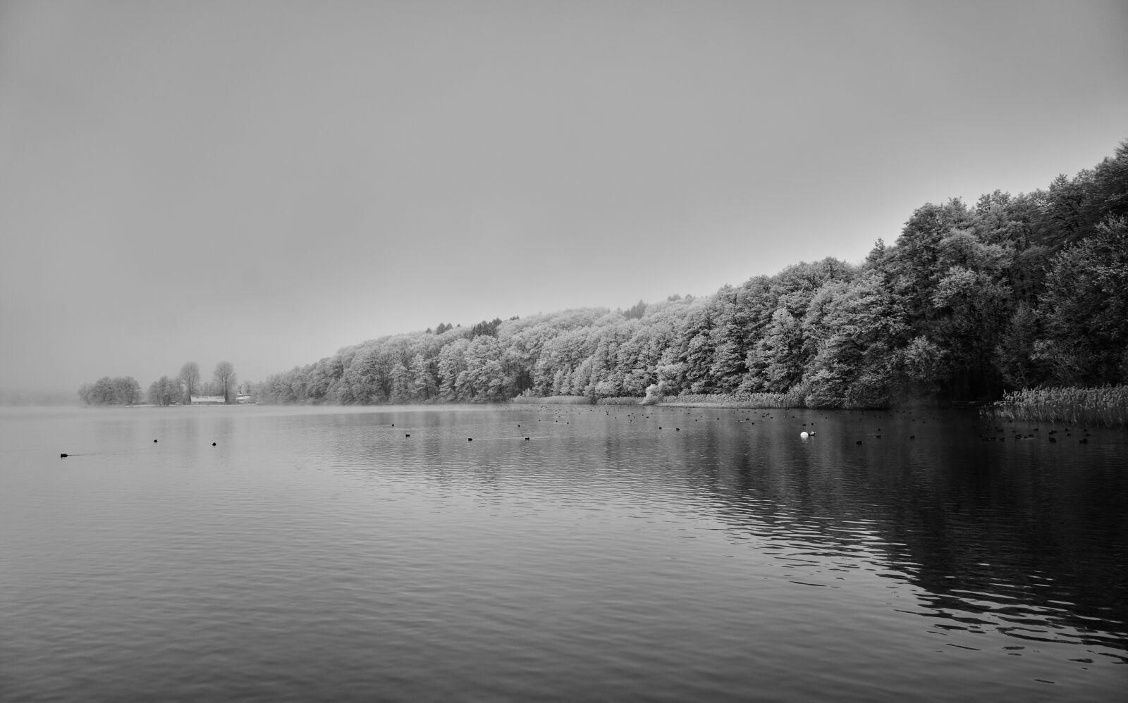 Sony a7R sample photo. Landscape, black and white photography