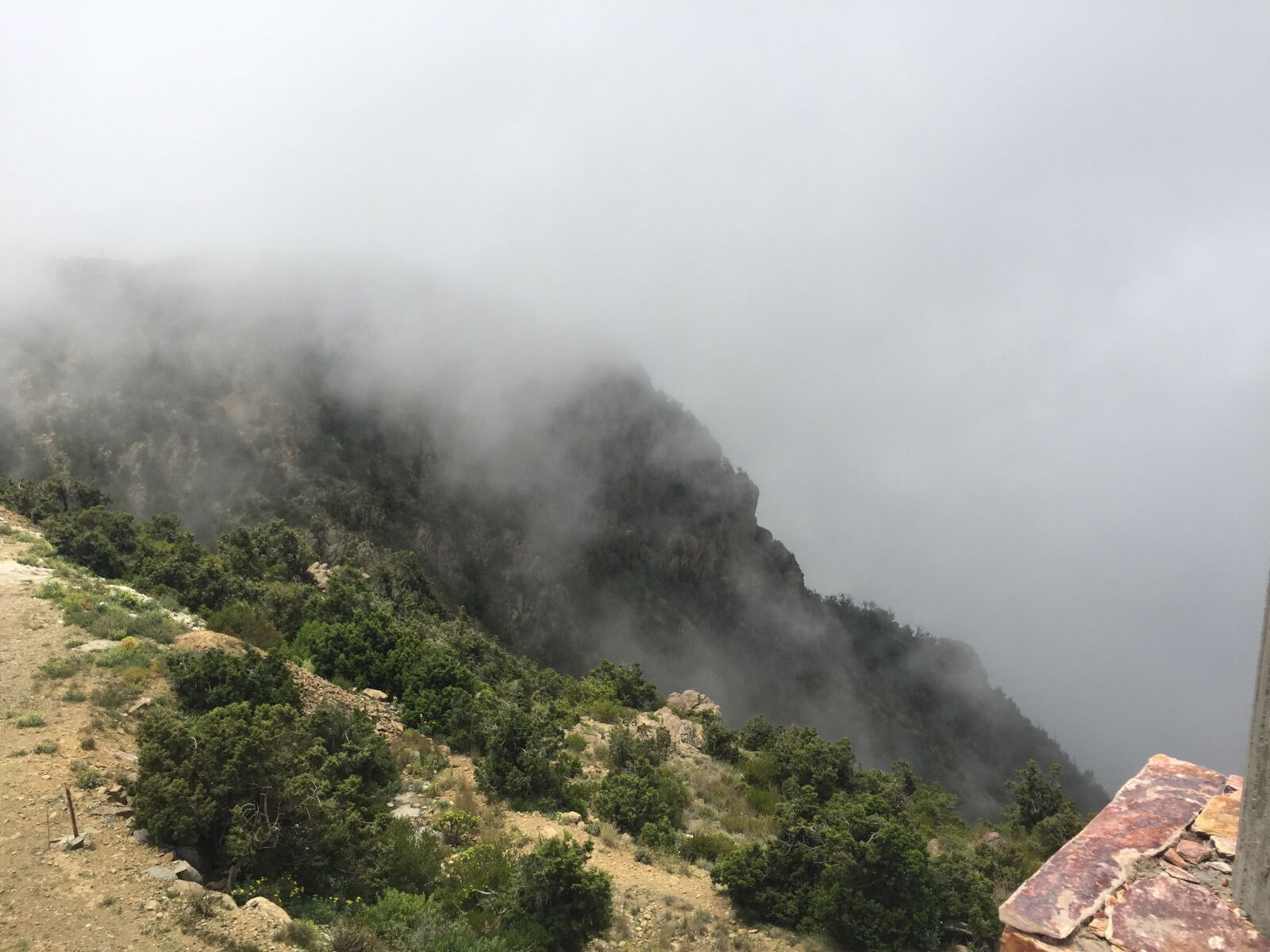 iPhone 6 back camera 4.15mm f/2.2 sample photo. Aseer, abha, souda photography