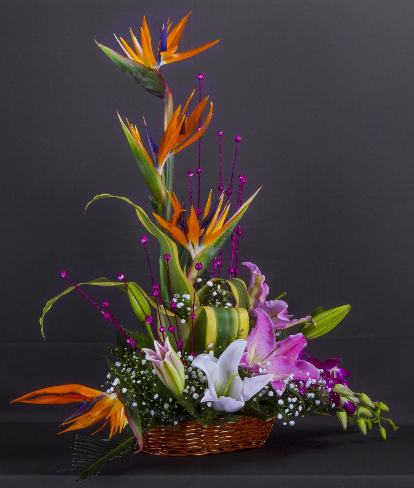 Canon EOS 7D sample photo. Flowers, display, special photography