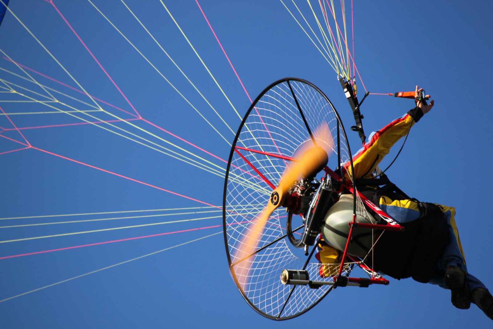 Canon EOS 500D (EOS Rebel T1i / EOS Kiss X3) sample photo. Fly, flight, acrobatic photography