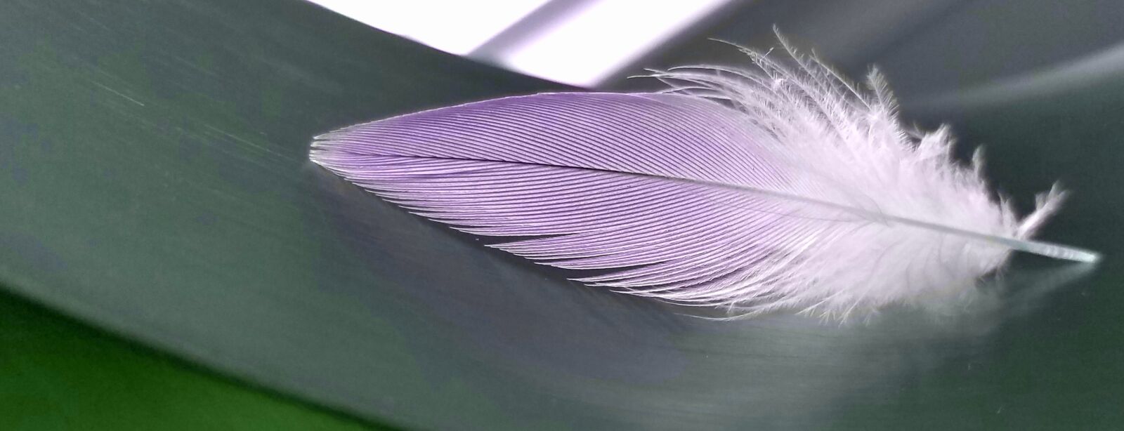 Samsung Galaxy S7 sample photo. Abstract, feathers, magic photography