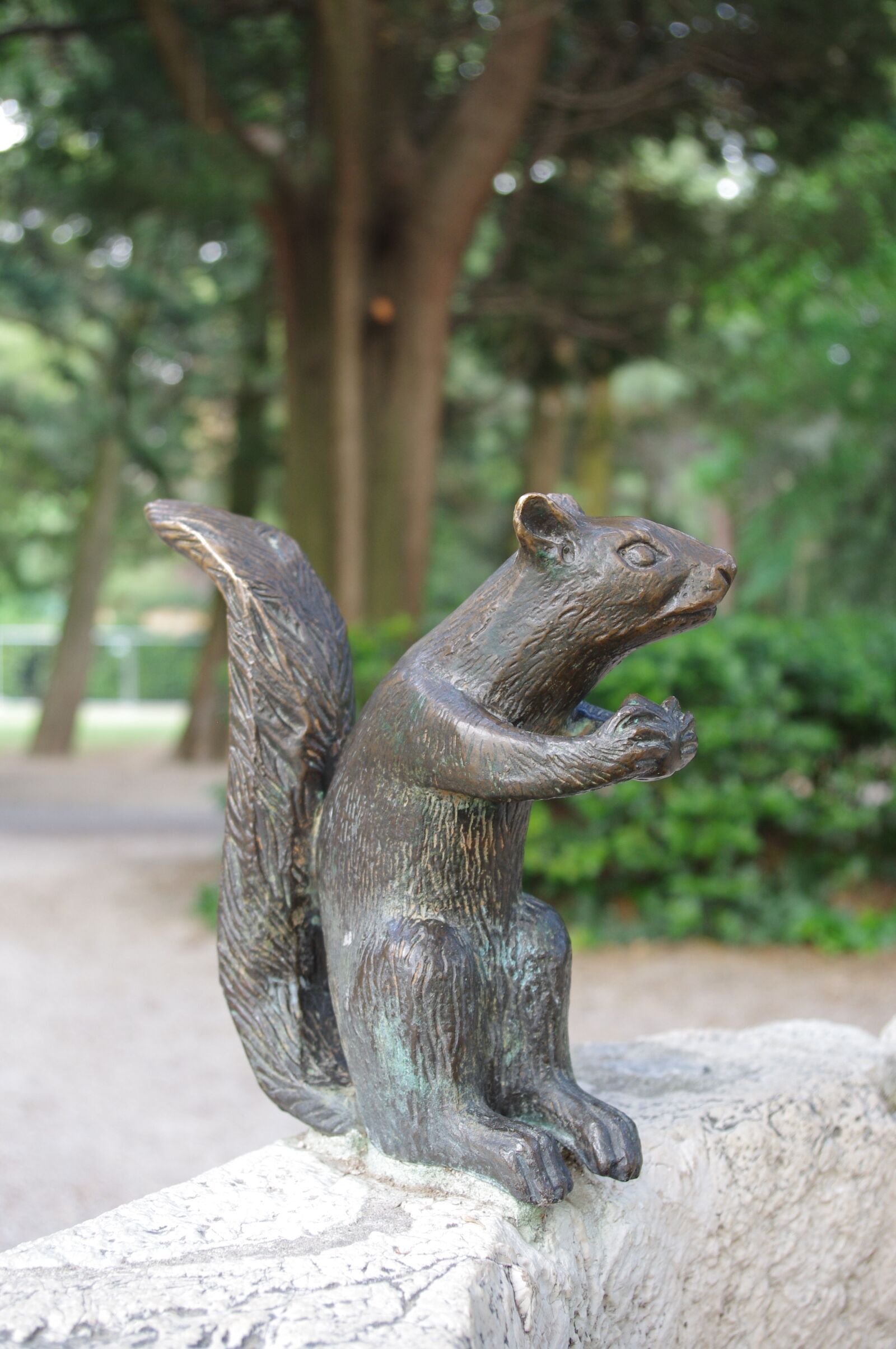 Pentax K-r sample photo. Squirrel, animales, nature photography