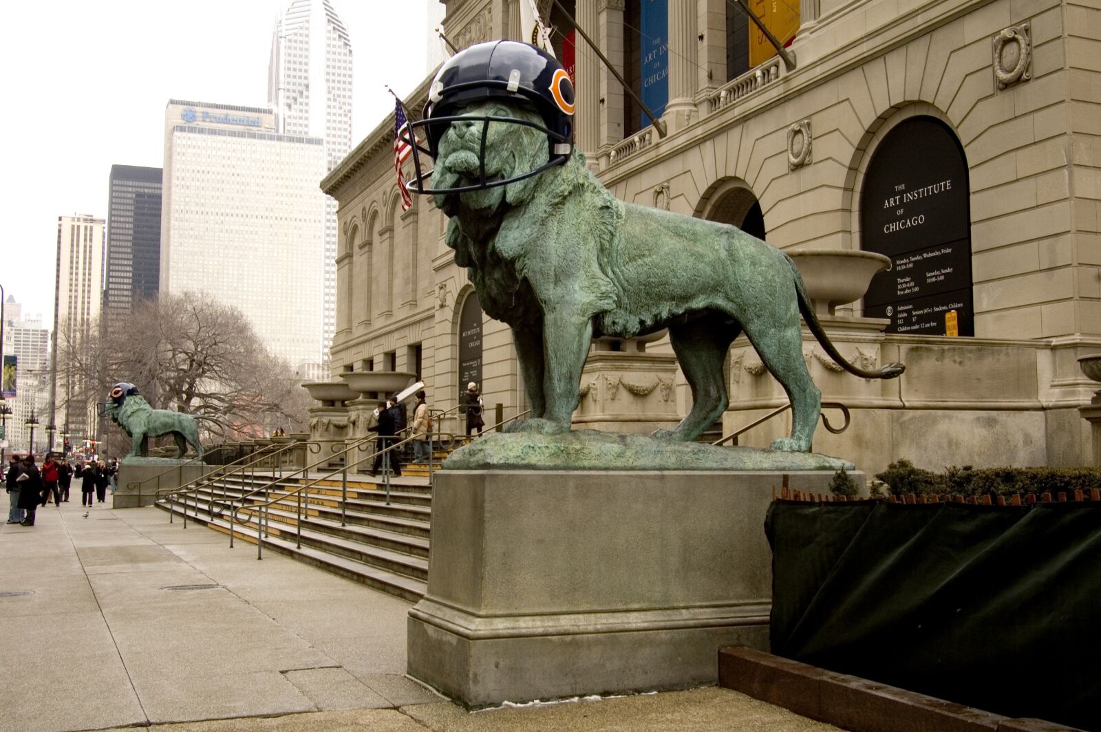 Nikon D70 sample photo. Chicago bears 2007 super photography