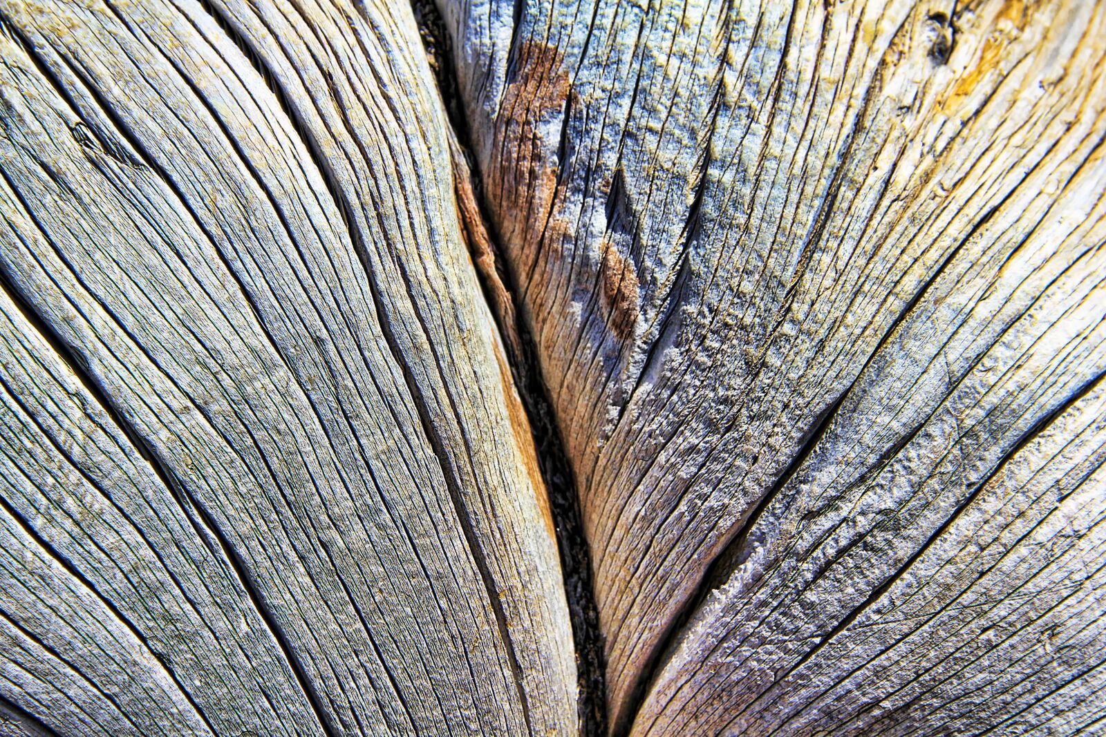 Canon EOS 550D (EOS Rebel T2i / EOS Kiss X4) sample photo. Texture, wood, lines photography