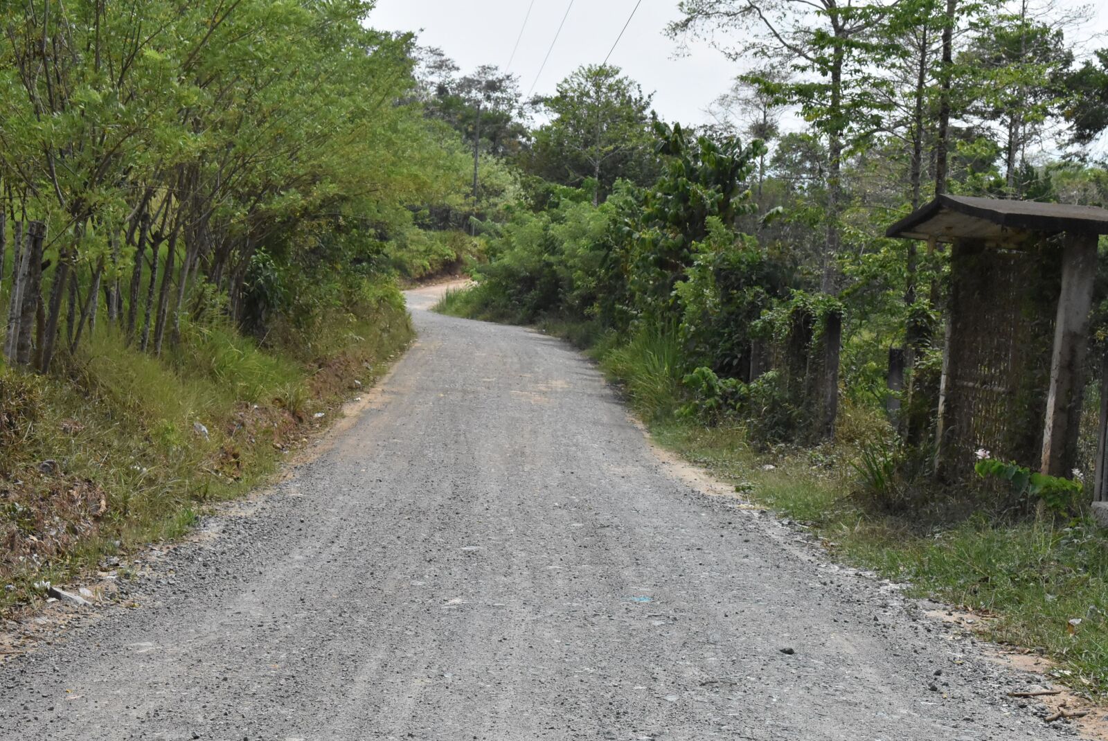 Nikon D3400 sample photo. Path, street, road photography