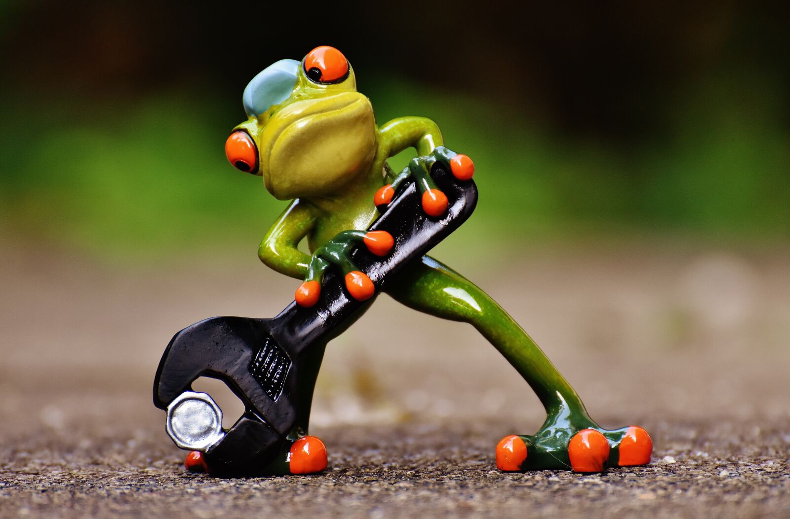 Nikon D7200 sample photo. Frog, mechanic, screwdrivers photography