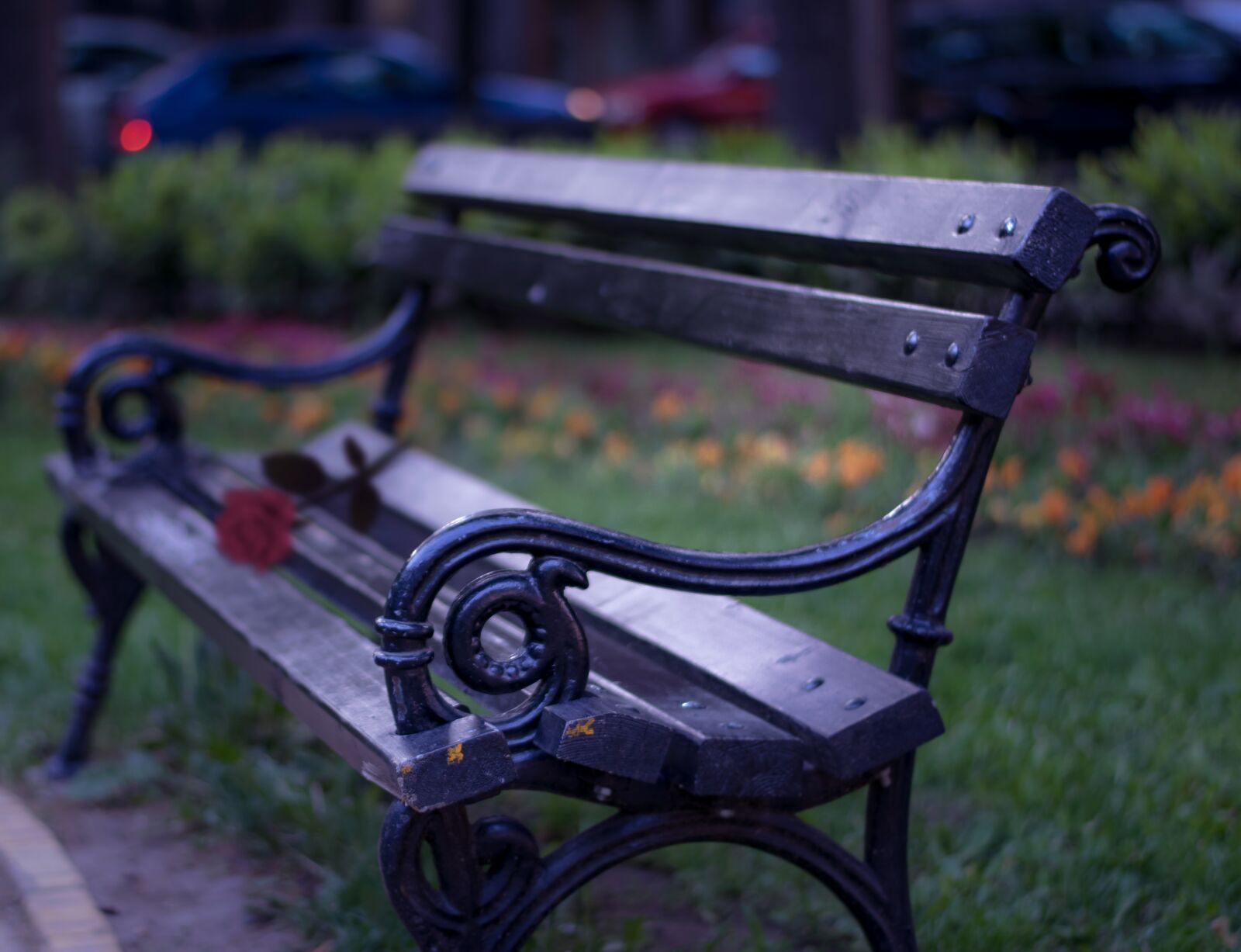 Nikon D3300 sample photo. Bench, park, romance photography