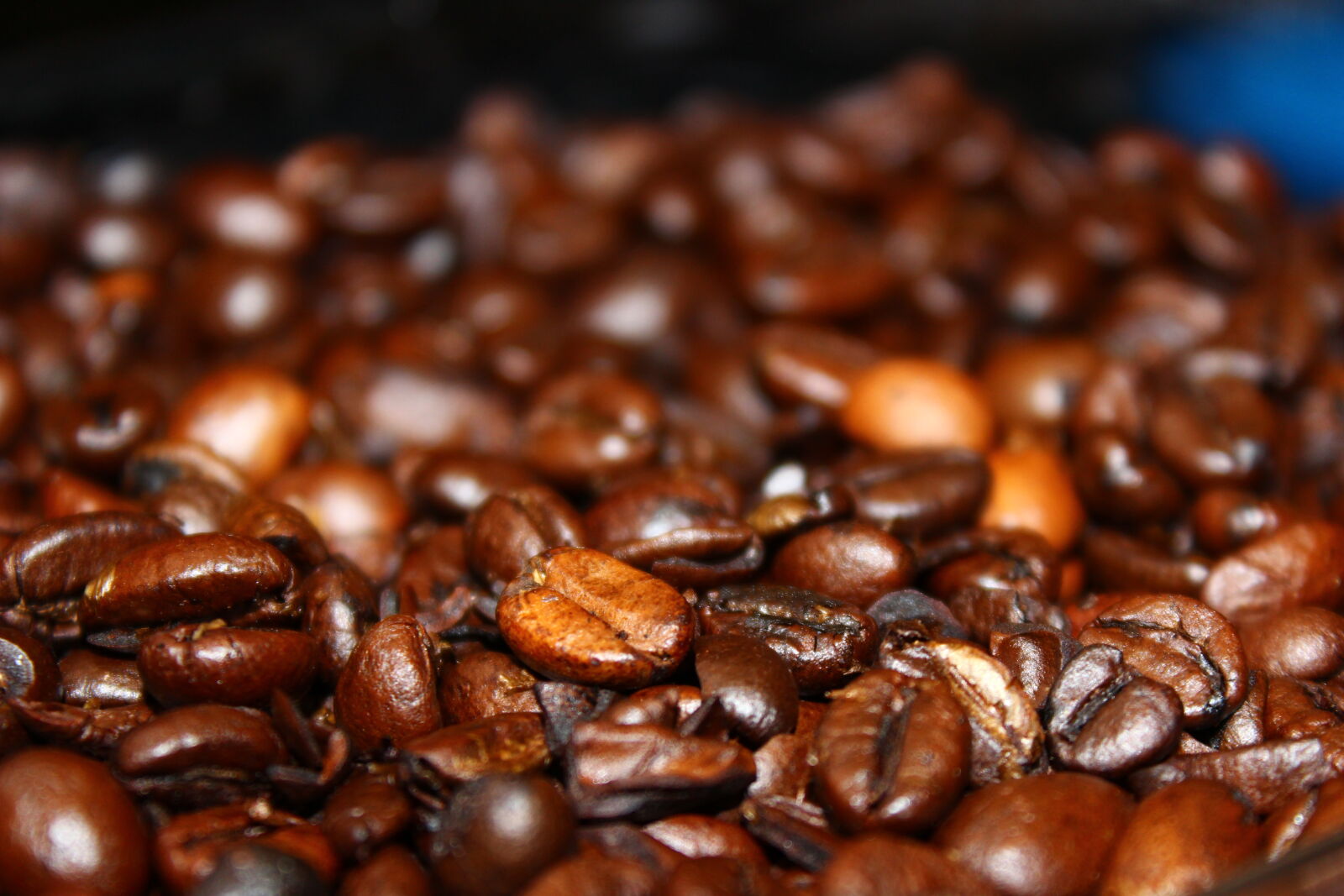 Canon EOS 600D (Rebel EOS T3i / EOS Kiss X5) sample photo. Coffee, beans, in, macro photography