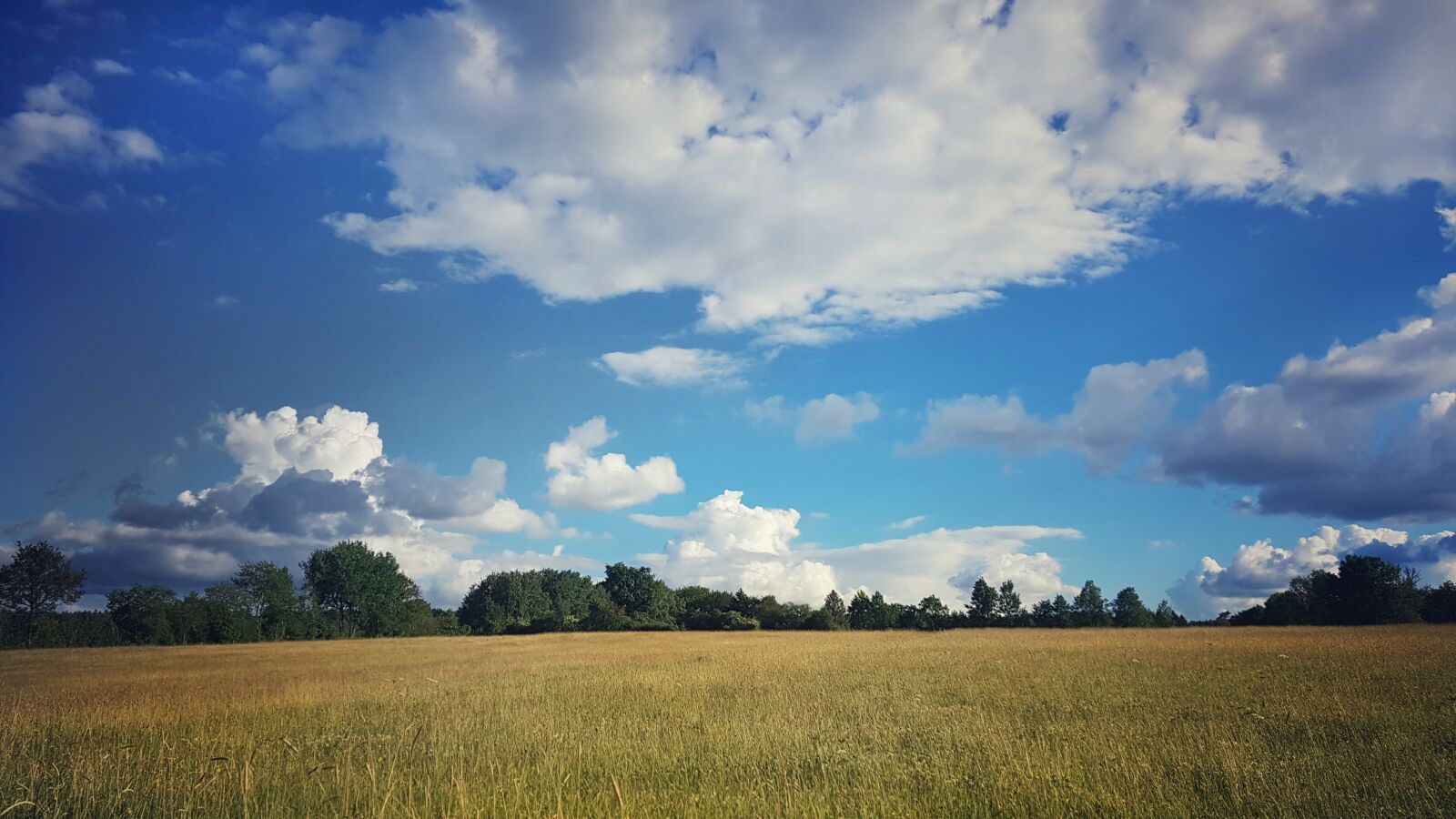 Samsung Galaxy S7 sample photo. Landscape, nature, clouds photography