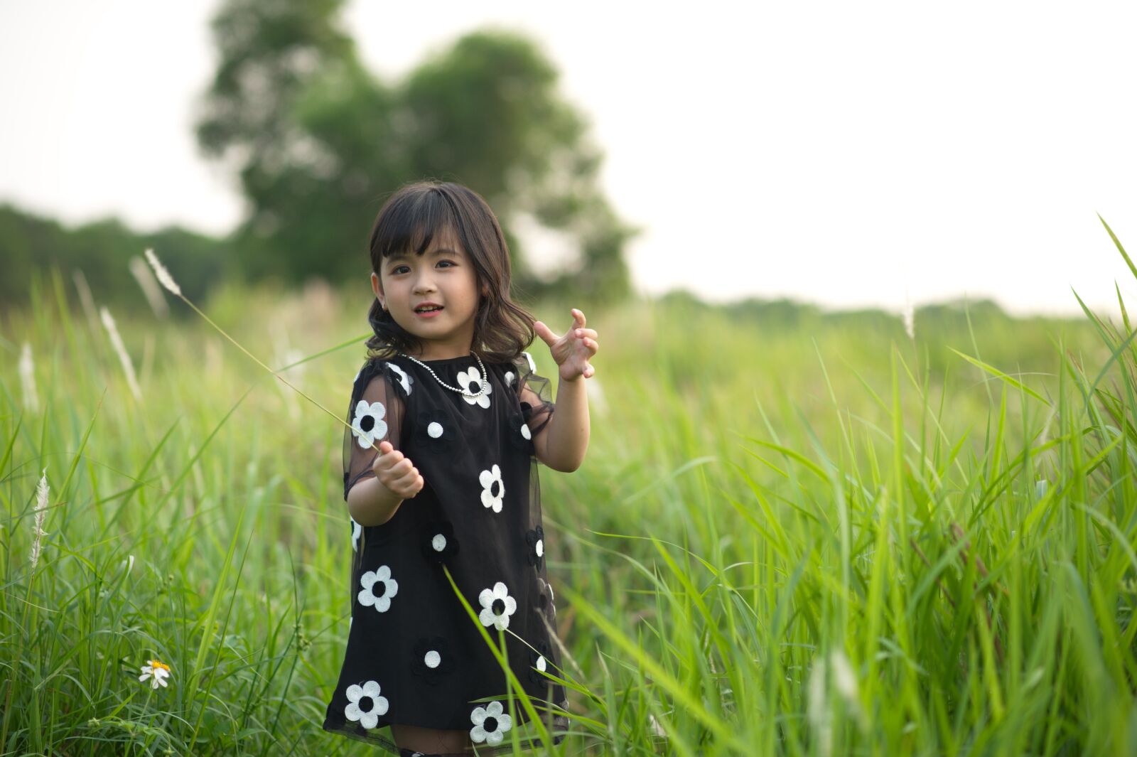 Nikon D700 sample photo. Girl, child, dress photography