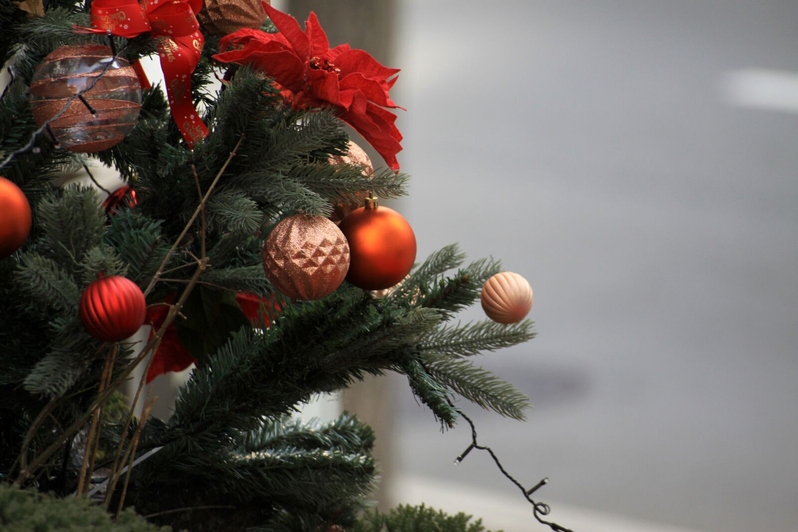 Canon EOS 50D sample photo. Christmas, tree, ornament photography