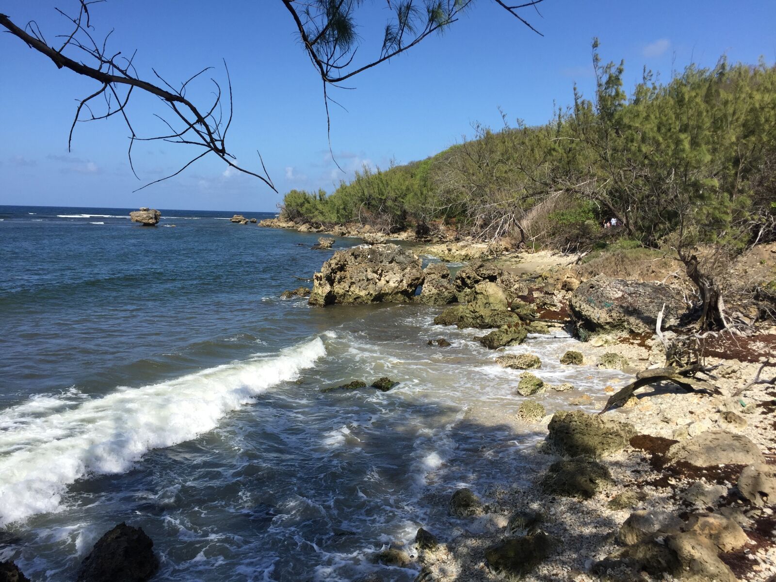 iPhone 6 back camera 4.15mm f/2.2 sample photo. Barbados, east coast, shoreline photography