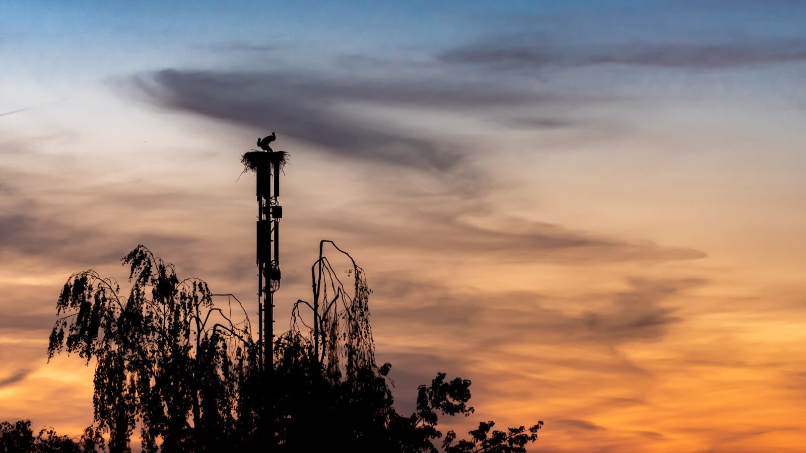 Nikon D750 sample photo. Afterglow, silhouette, abendstimmung photography