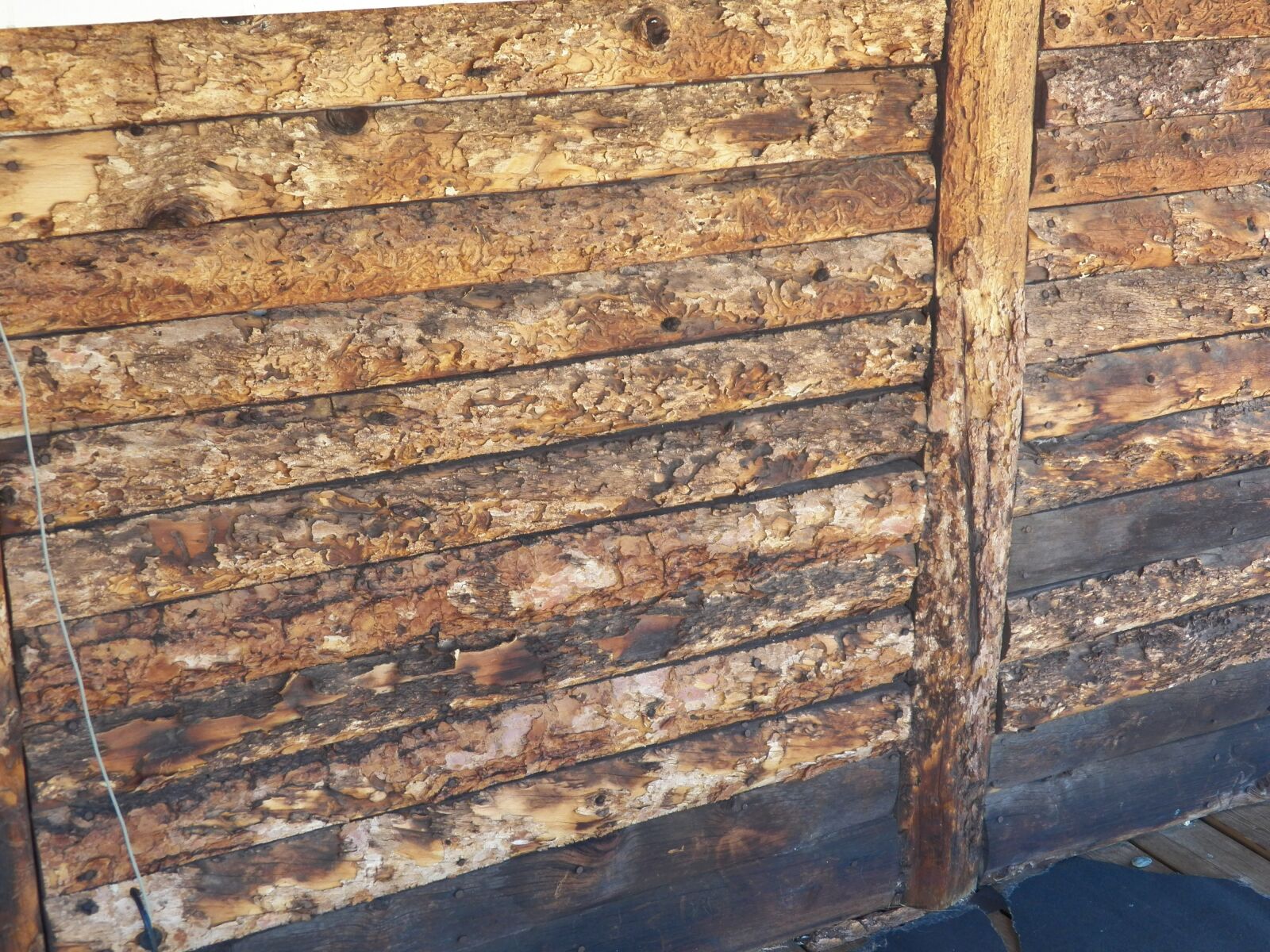 Kodak EasyShare Z990 (EasyShare Max) sample photo. Wood, texture, wood background photography