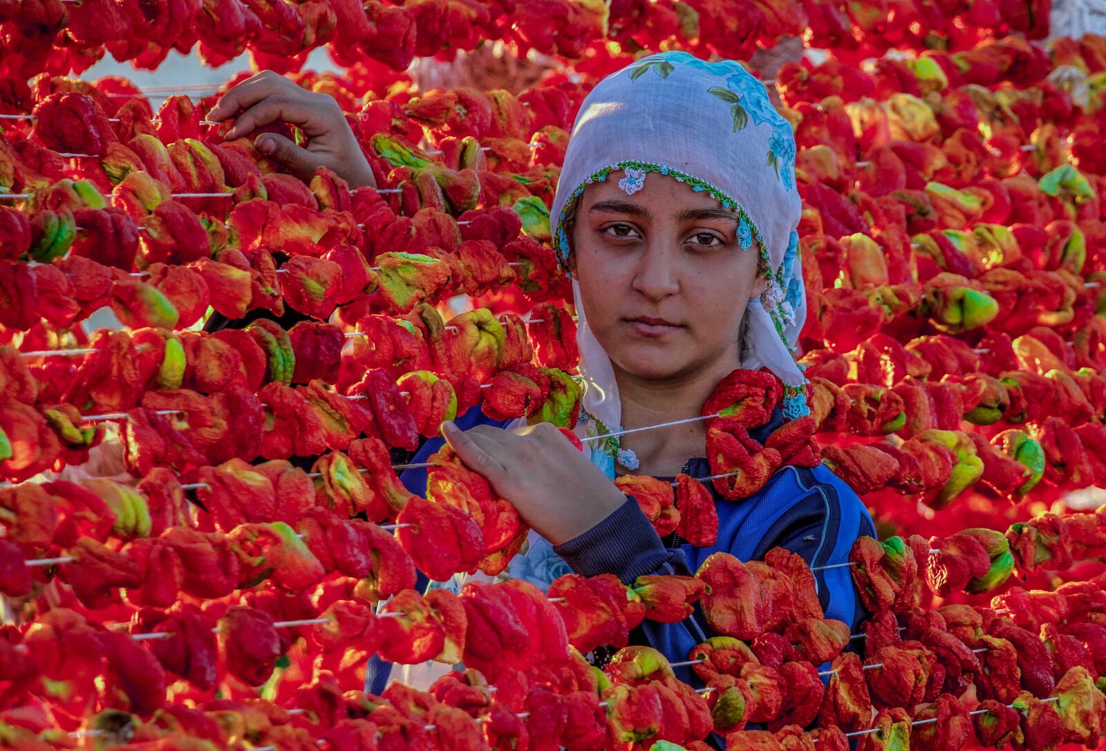 Canon EOS 7D sample photo. Woman, worker, success photography