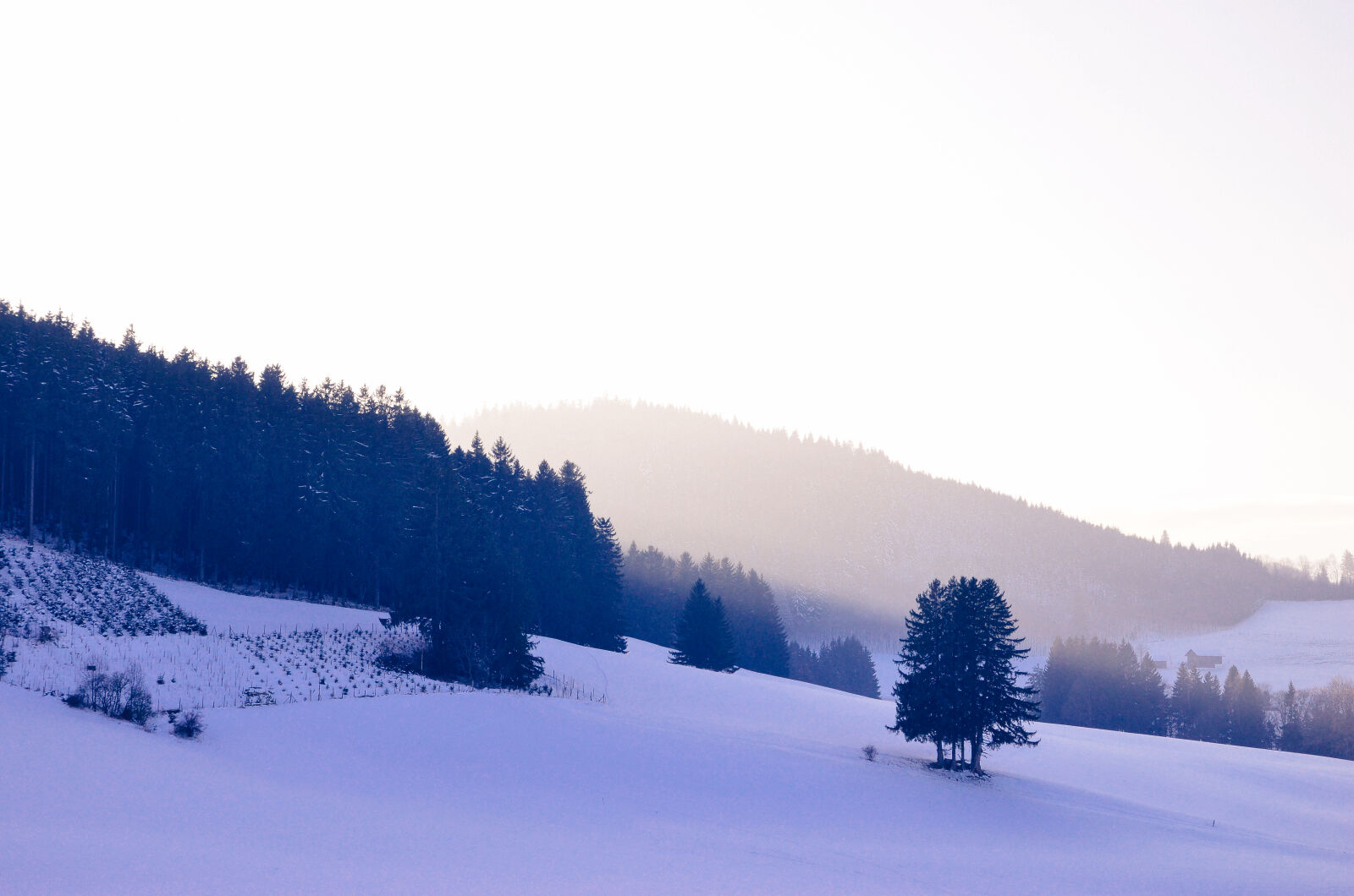 Nikon D5100 sample photo. Blue, freshpow, powder, snow photography