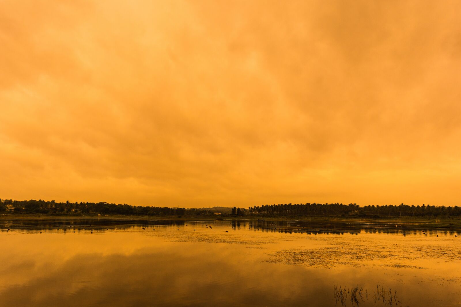 Nikon D5200 sample photo. Lake, landscape, nature photography