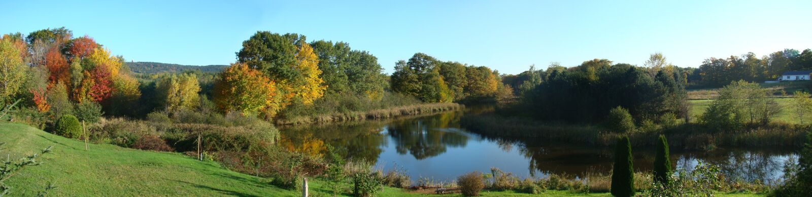 Sony DSC-H9 sample photo. Pond, trees, water photography