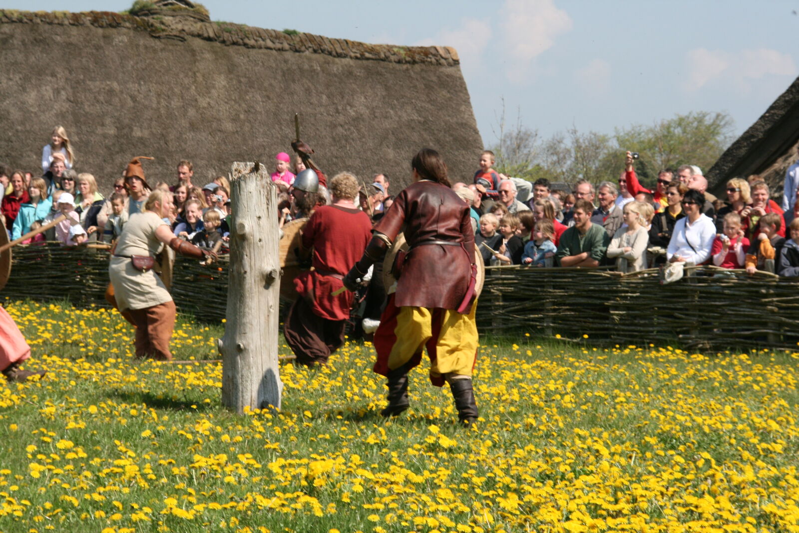 Sigma 18-200mm f/3.5-6.3 DC OS sample photo. Vikings photography
