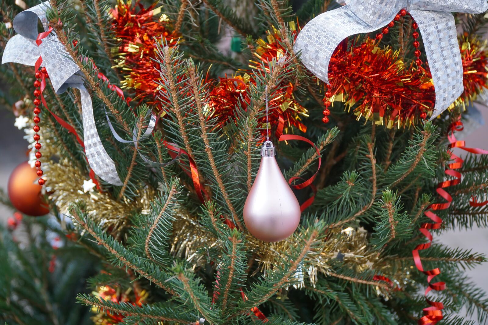 Sony a6000 sample photo. Christmas, christmas tree, decoration photography