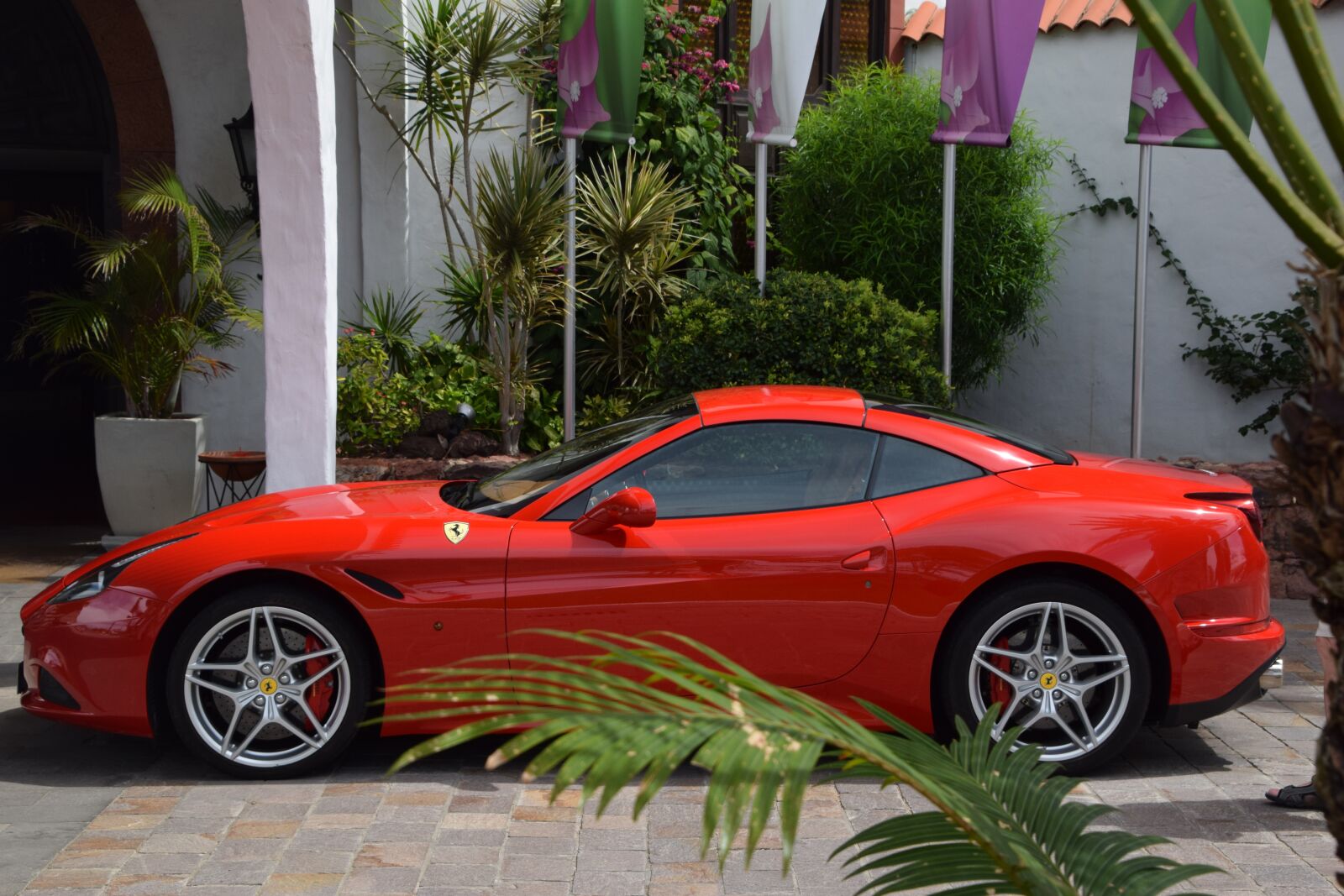 Nikon D3300 sample photo. Ferrari, red, wheels photography