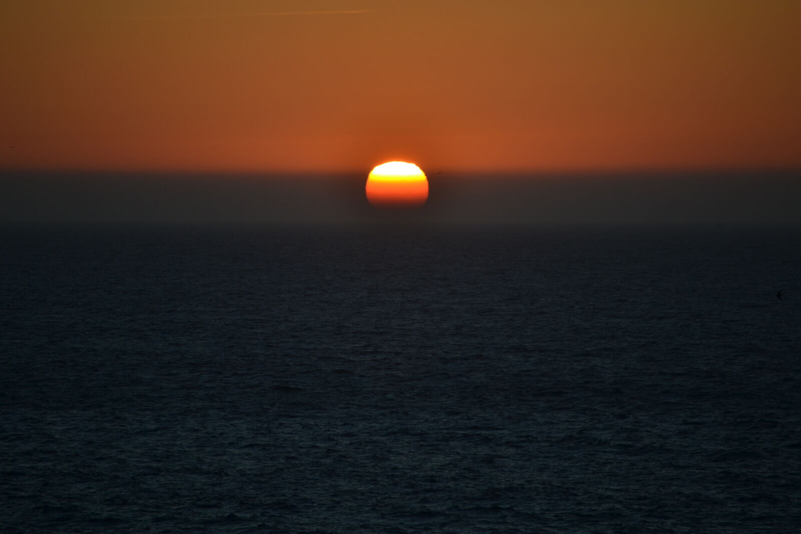 Nikon D3100 sample photo. Evening, sun, sea, sun photography