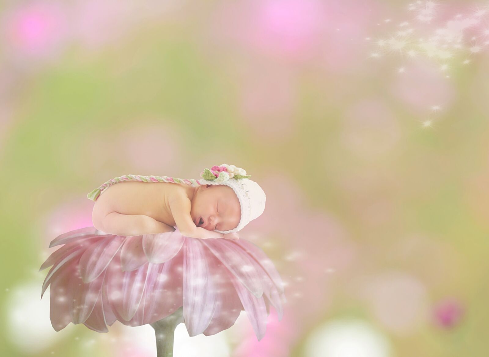 Nikon Df sample photo. Baby, gerbera, female photography
