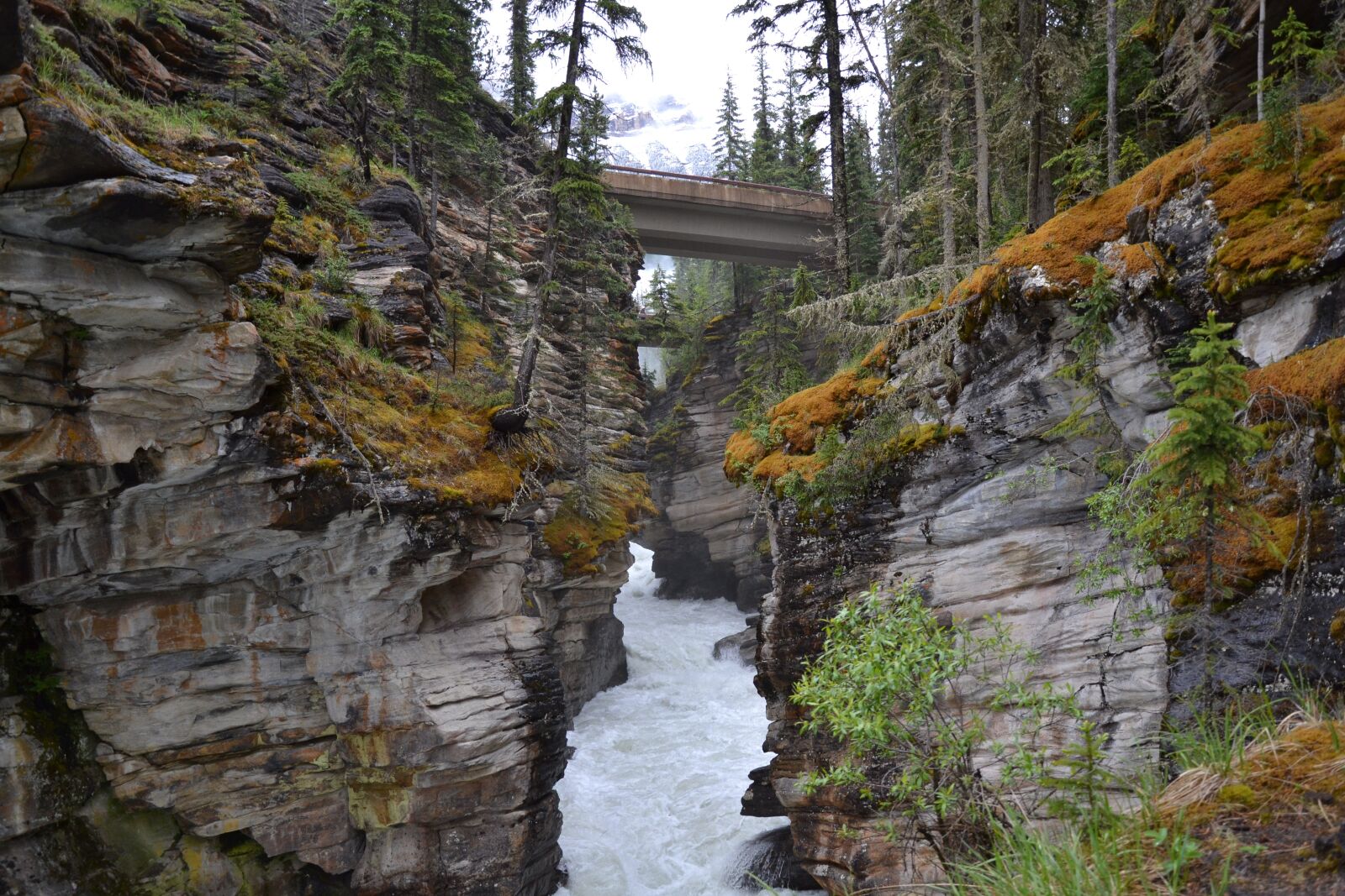 Nikon D3100 sample photo. Canada, landscape, nature photography