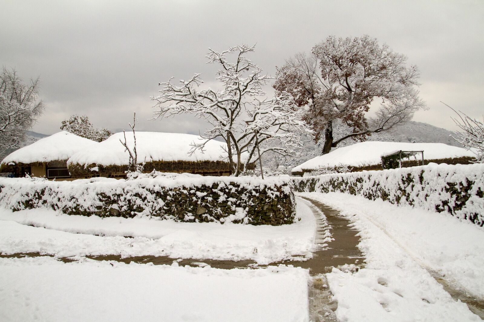 Canon EOS 7D sample photo. Snow, winter, winter landscapes photography