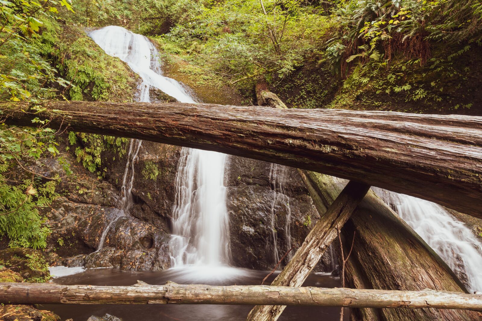 Nikon D750 sample photo. Creek, forest, logs photography