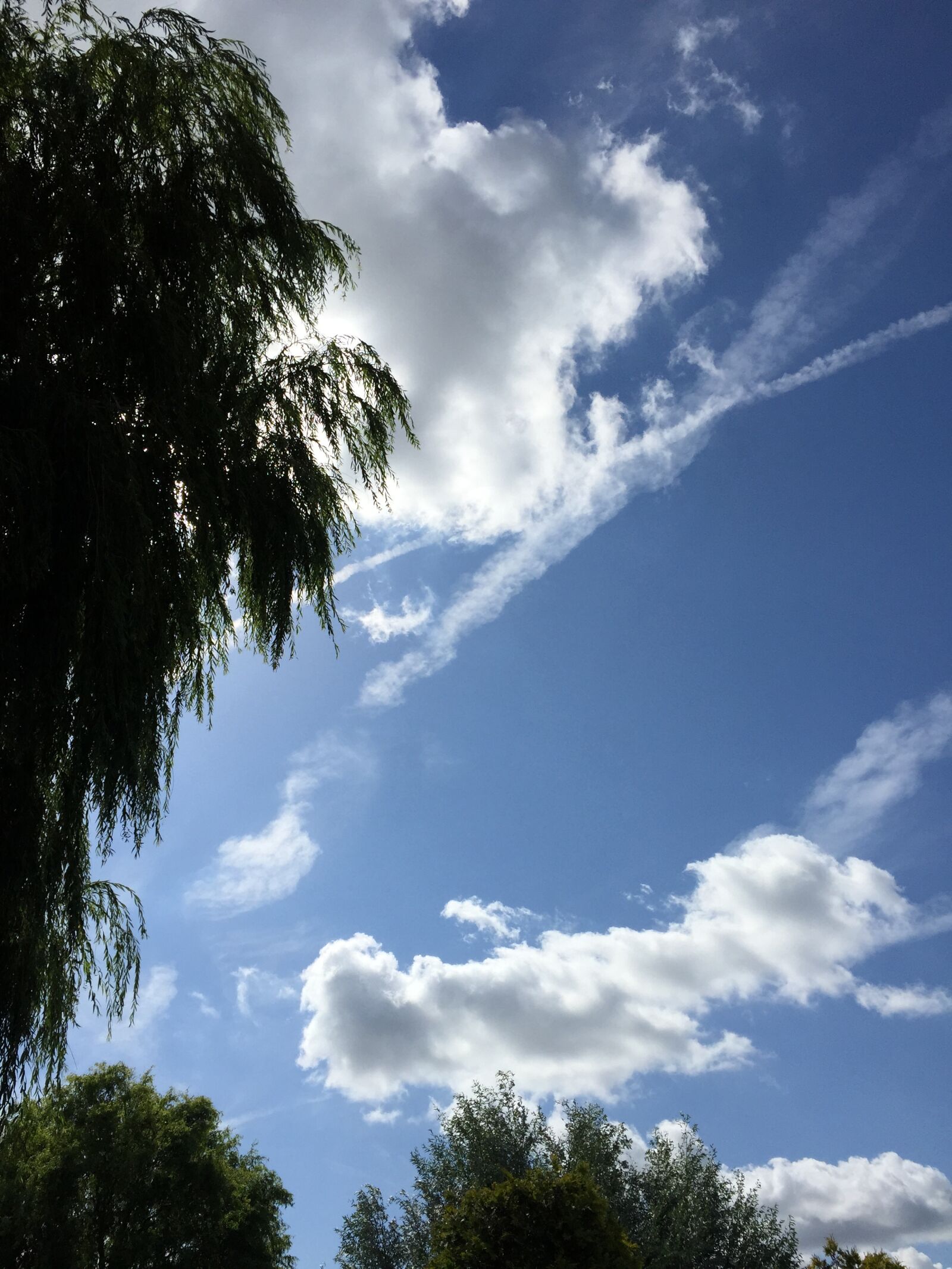 Apple iPhone 6 sample photo. Air, clouds, plane photography