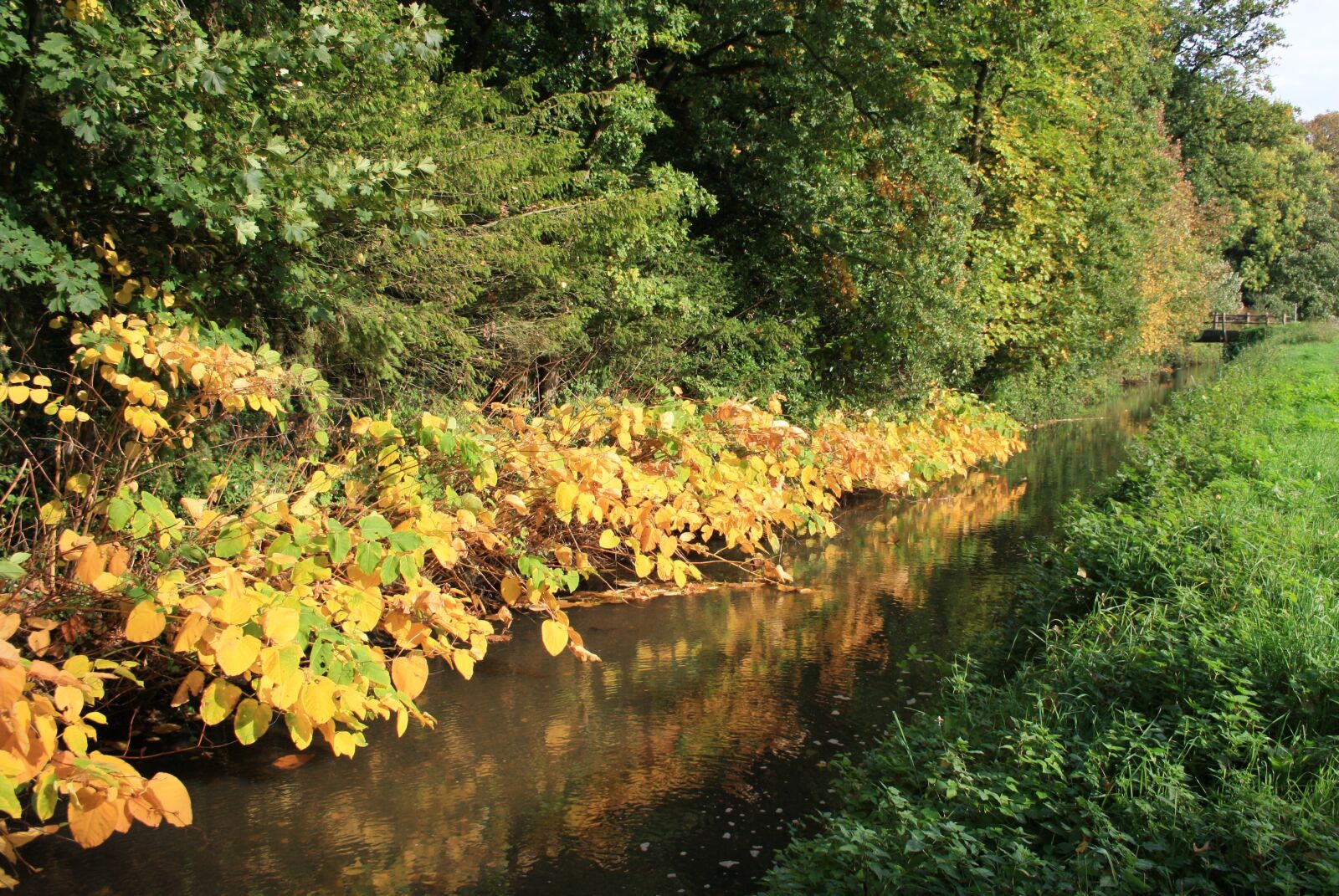 Canon EOS 1000D (EOS Digital Rebel XS / EOS Kiss F) sample photo. Autumn, brook, bridge photography