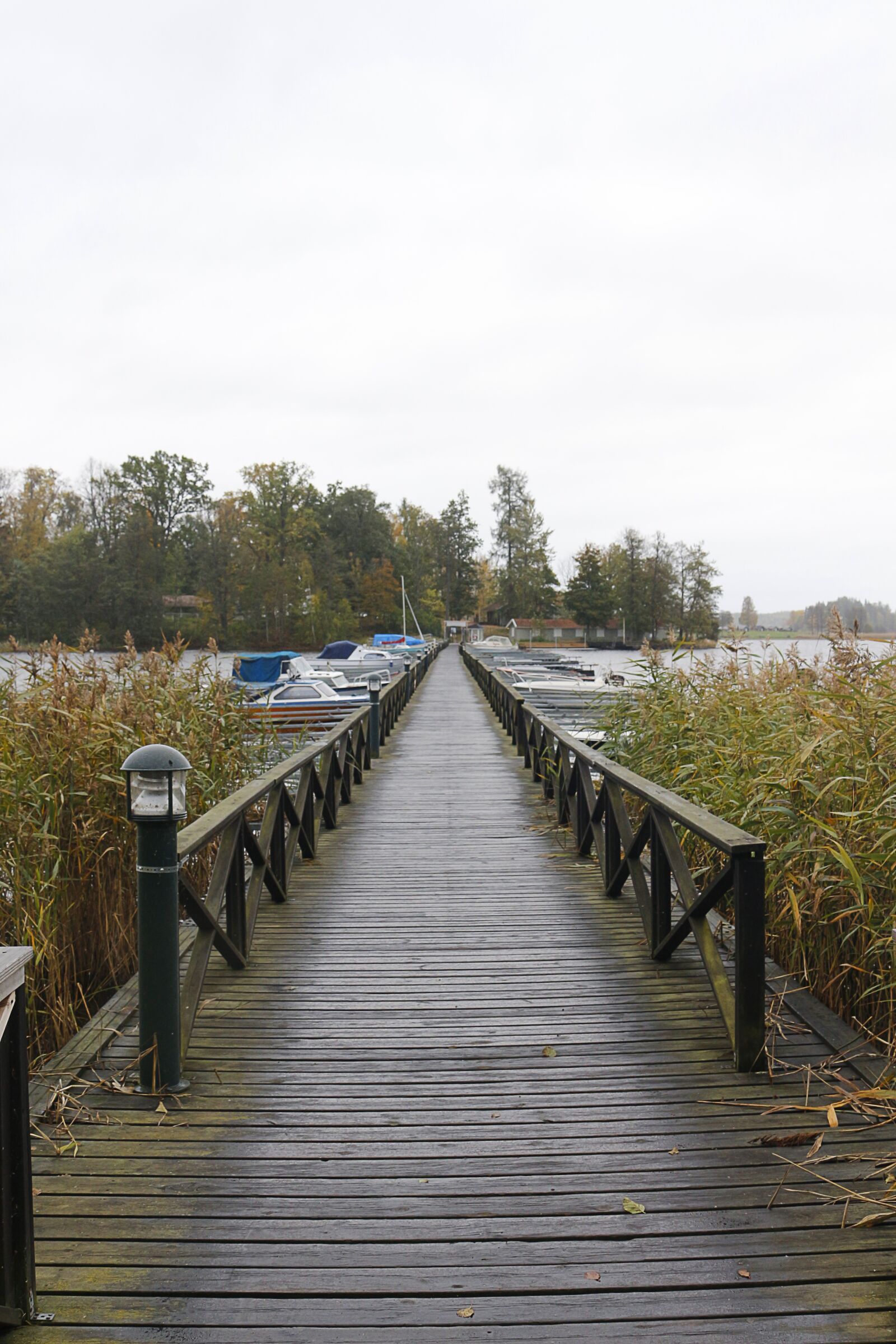 Canon EOS 650D (EOS Rebel T4i / EOS Kiss X6i) sample photo. Jetty, wood, boardwalk photography