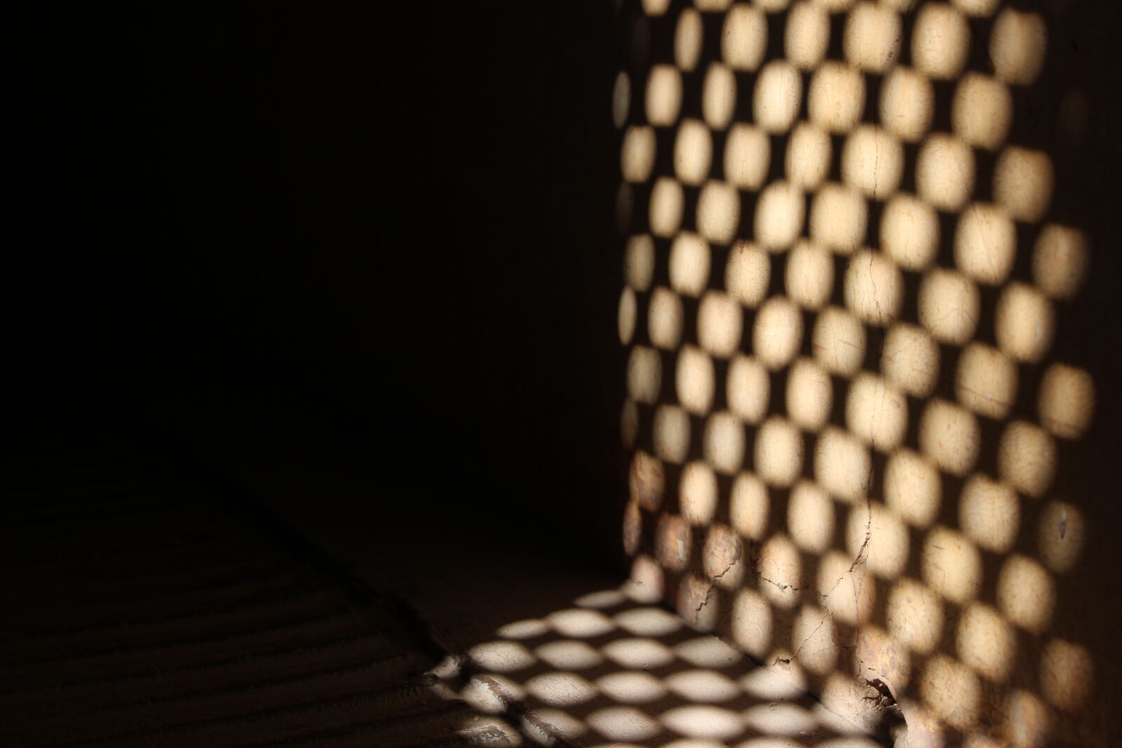 Canon EOS 700D (EOS Rebel T5i / EOS Kiss X7i) sample photo. Abstract, pattern, texture photography