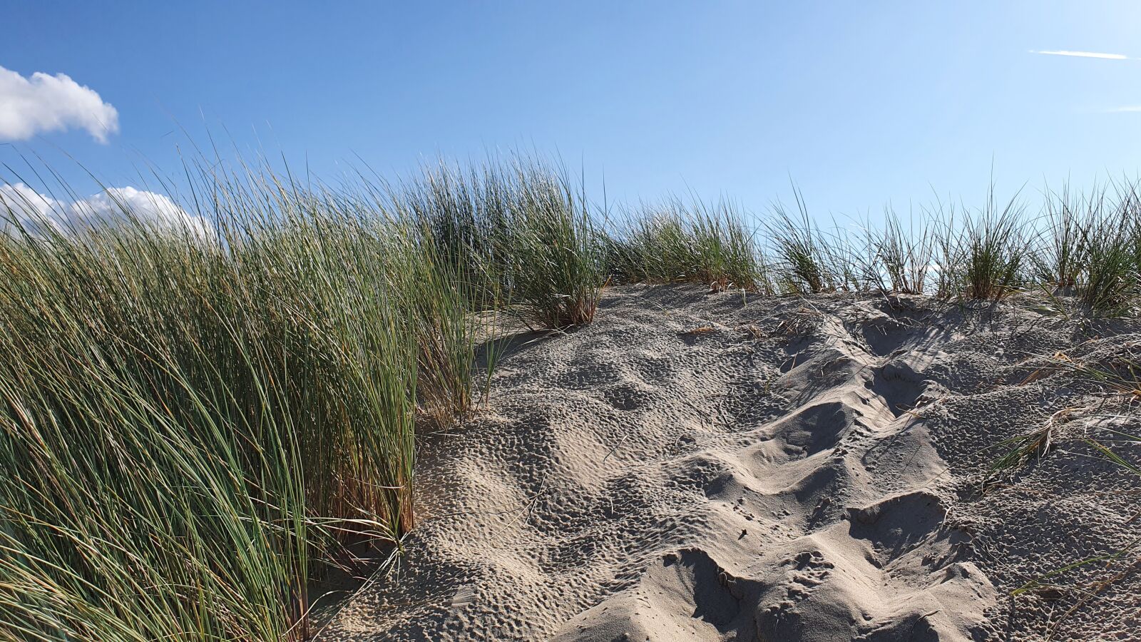 Samsung Galaxy S10+ sample photo. Dunes, beach, north sea photography