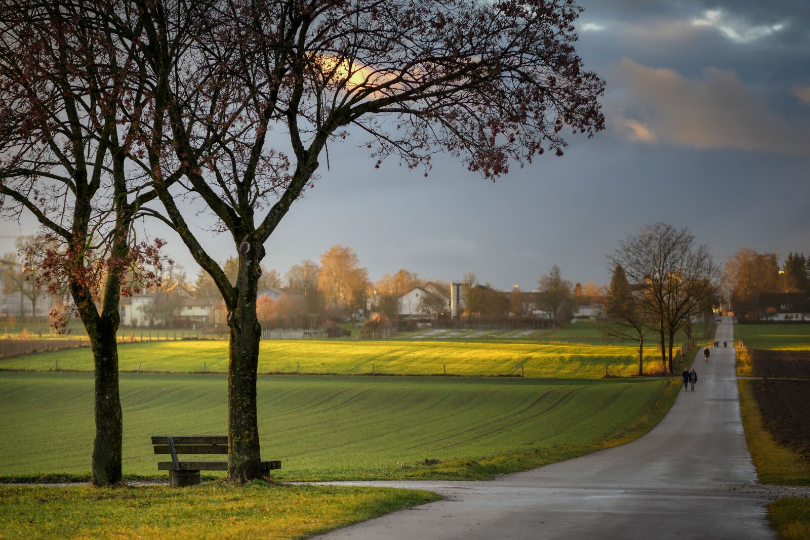 Panasonic Lumix DMC-GX8 sample photo. Rest, clouds, tree photography