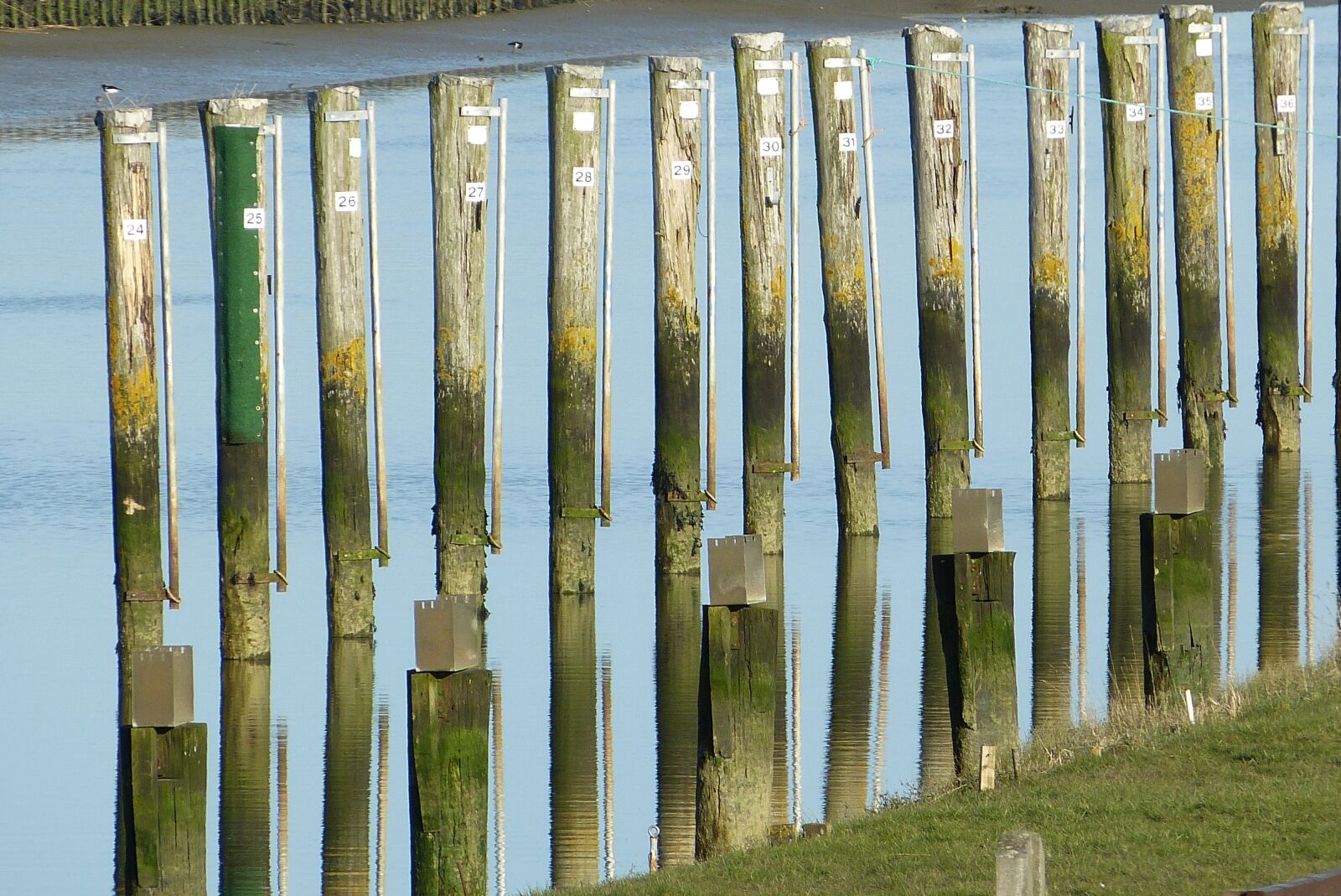 Panasonic Lumix DMC-FZ150 sample photo. North beach, north sea photography
