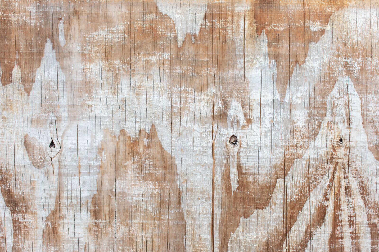 Nikon D7200 sample photo. Tree, texture, wood photography